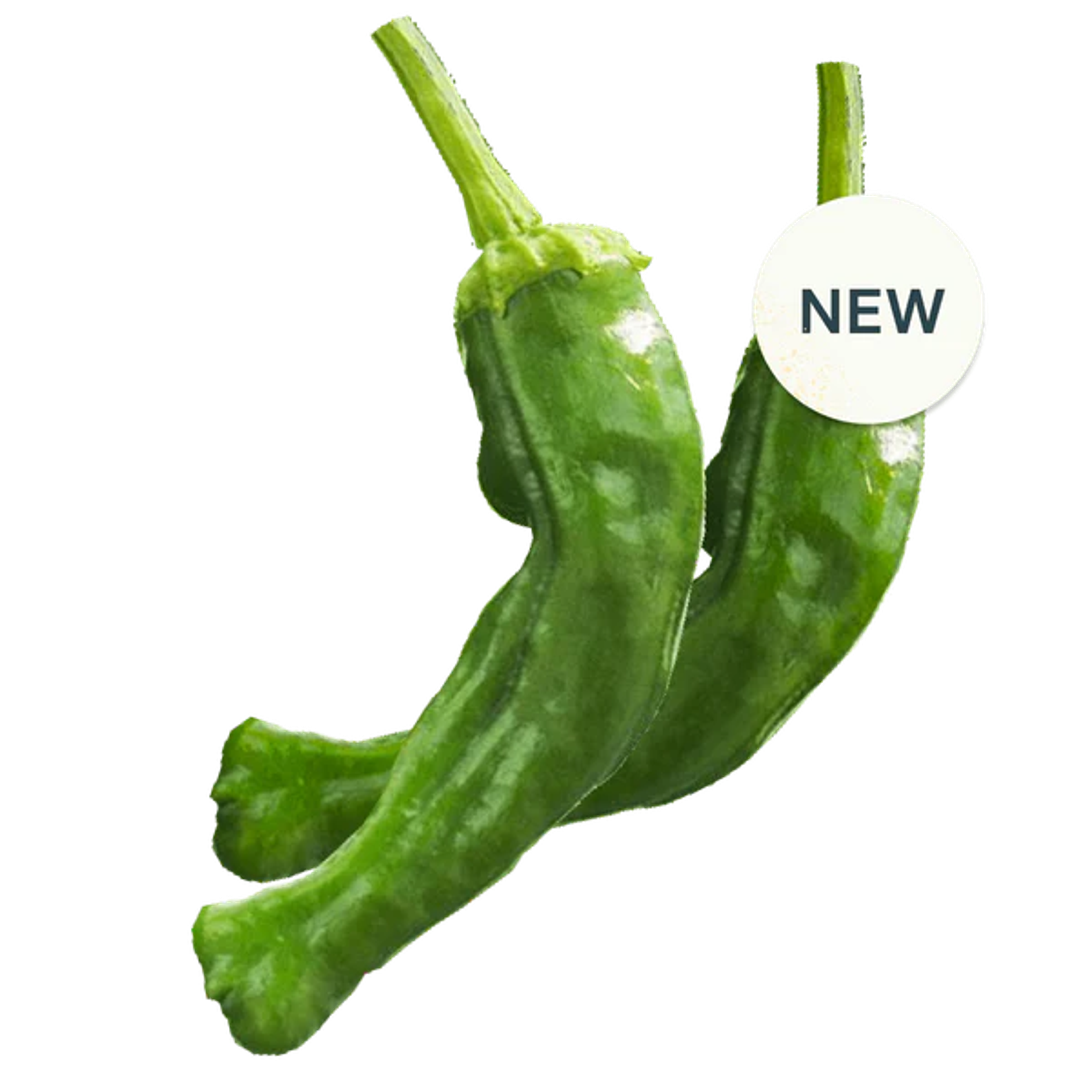Shishito Peppers | Seed Pods