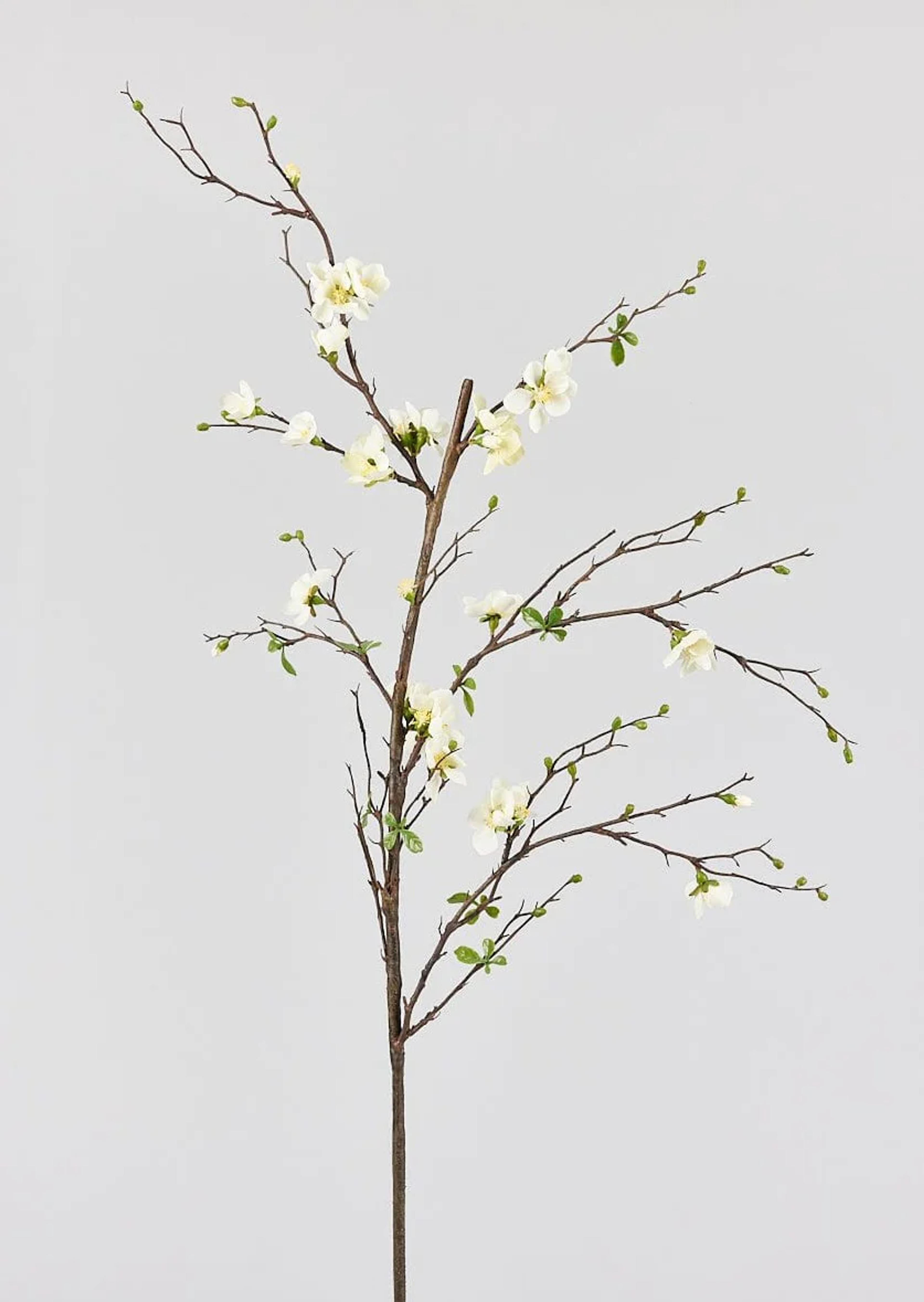 Tall Blossom Branch in Cream | Faux Flower Branches at Afloral.com