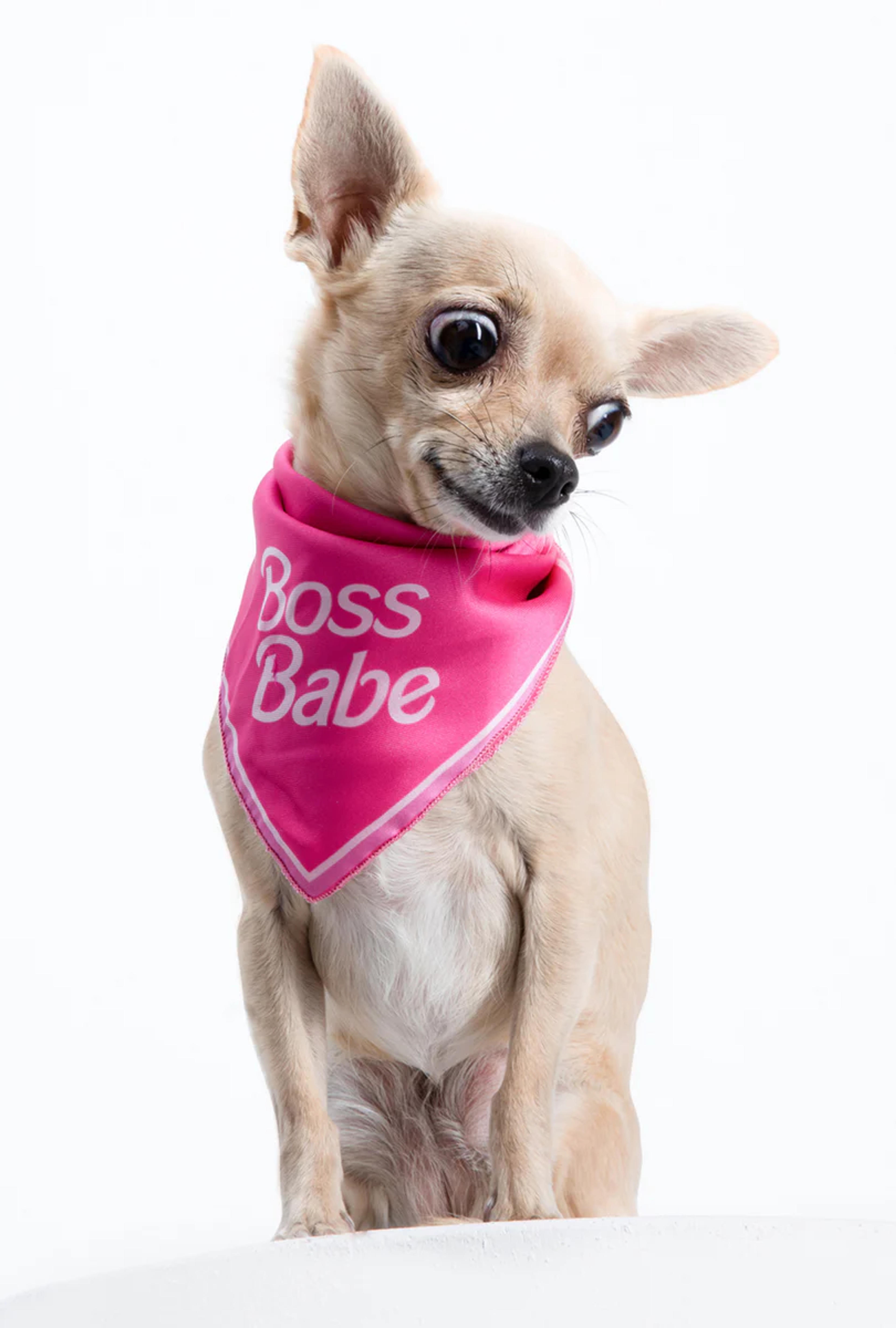 Boss Babe Dog Bandana– Moshiqa Store