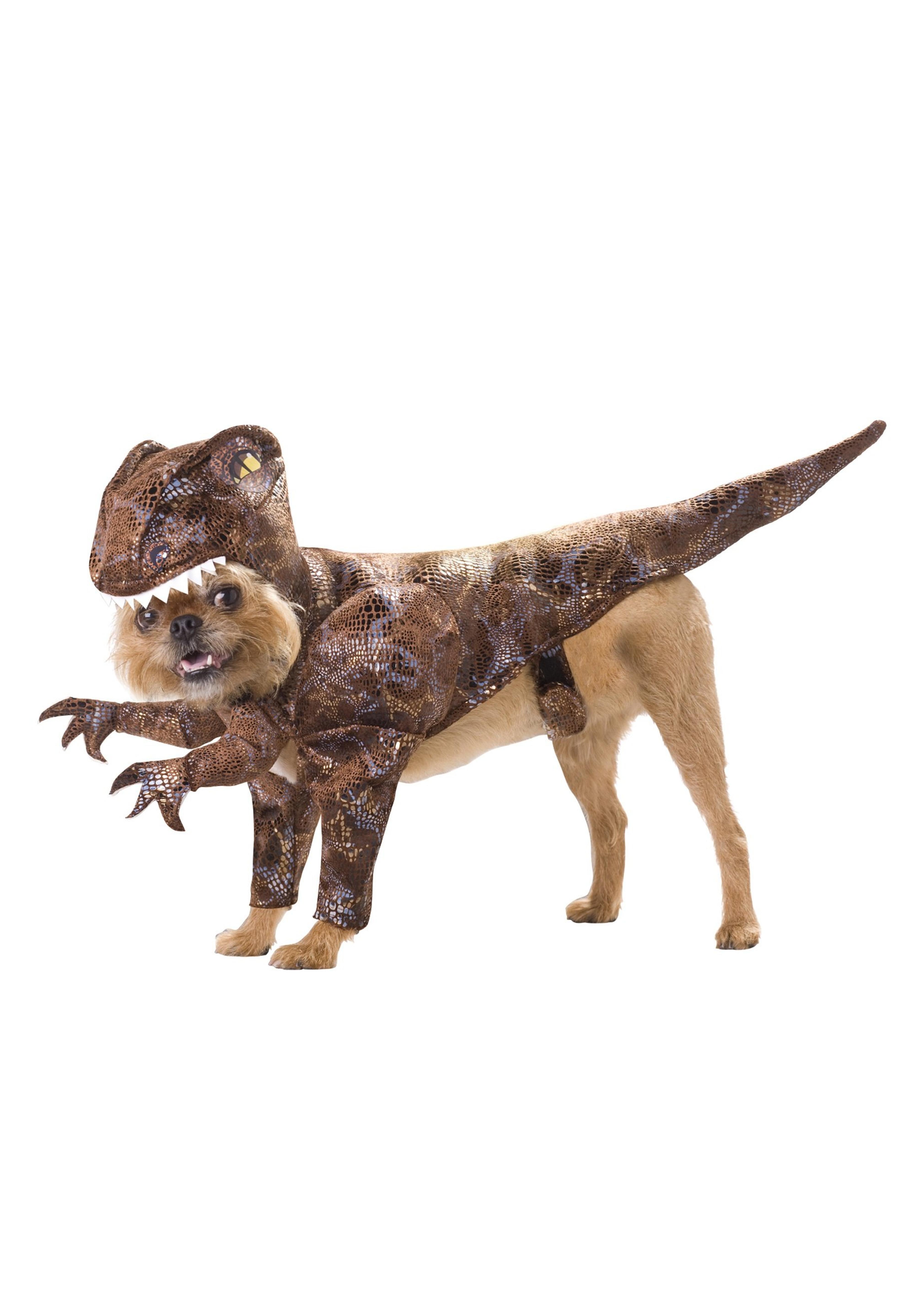 Animal Planet Raptor Dog Costume, Small