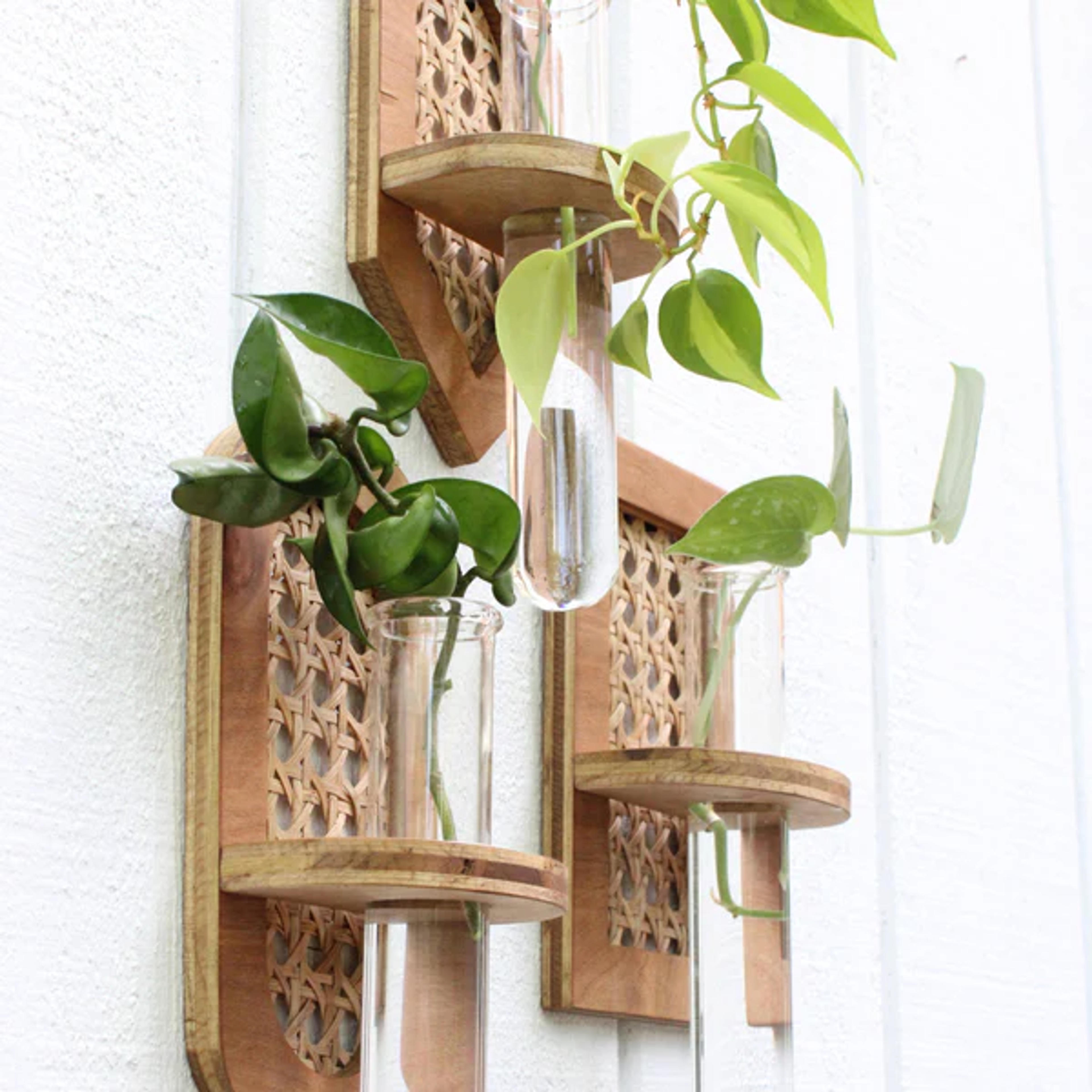 Rattan Propagation Planter