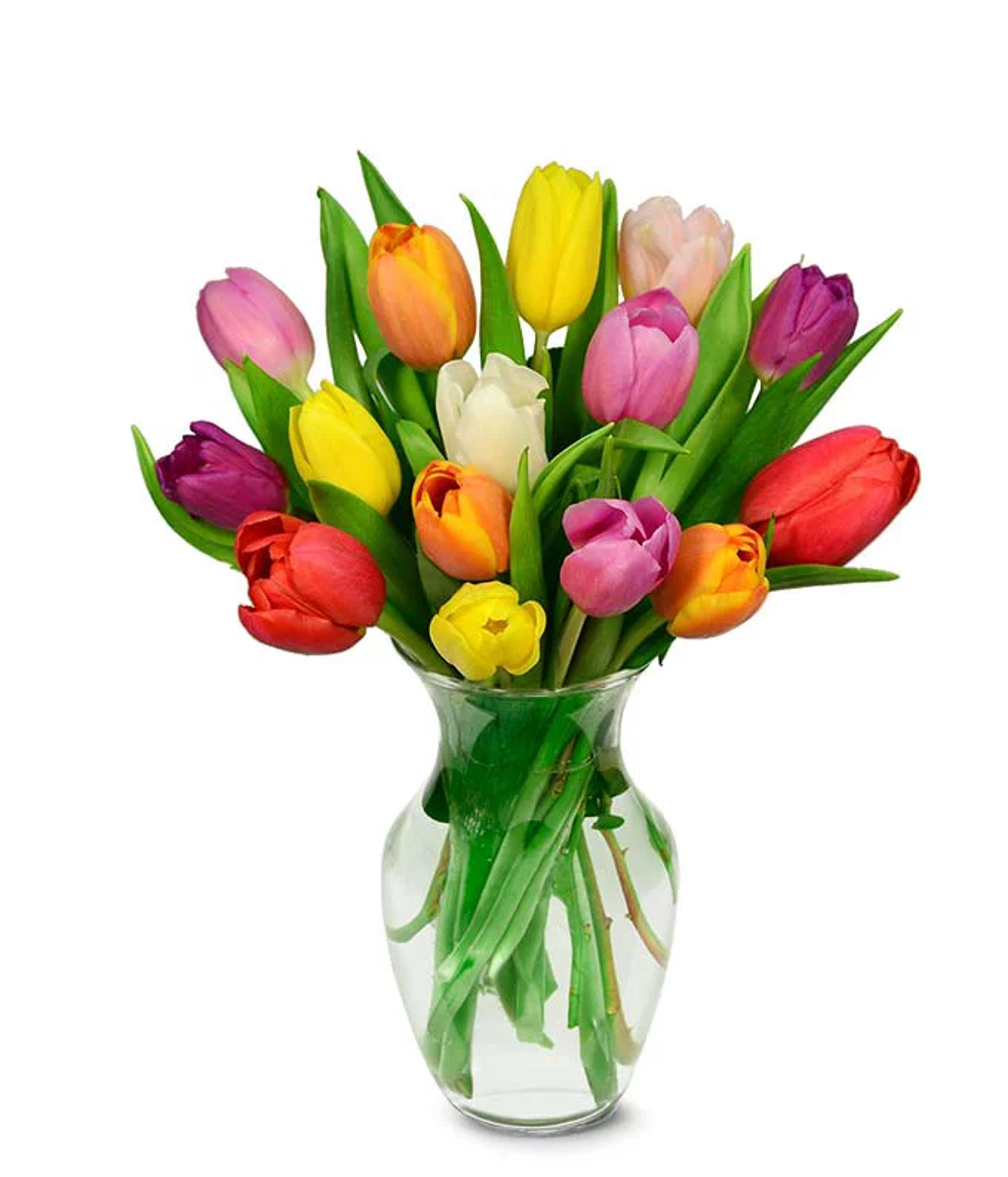 From You Flowers - Rainbow Tulip Bouquet - 15 Stems with Free Vase (Fresh Flowers) - Walmart.com