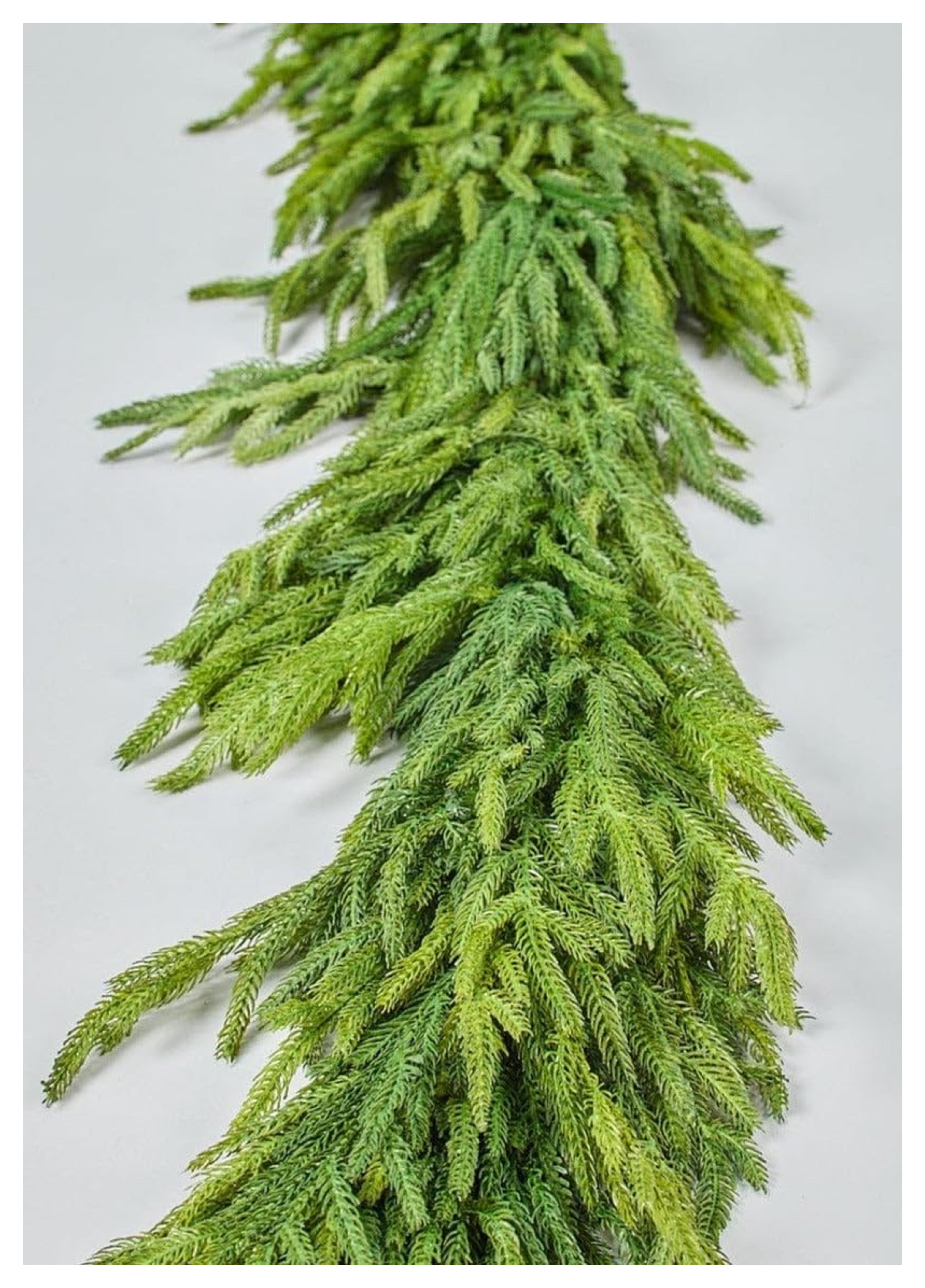 Amazon.com: Afloral Real Touch Deluxe Norfolk Pine Garland - 70" : Home & Kitchen