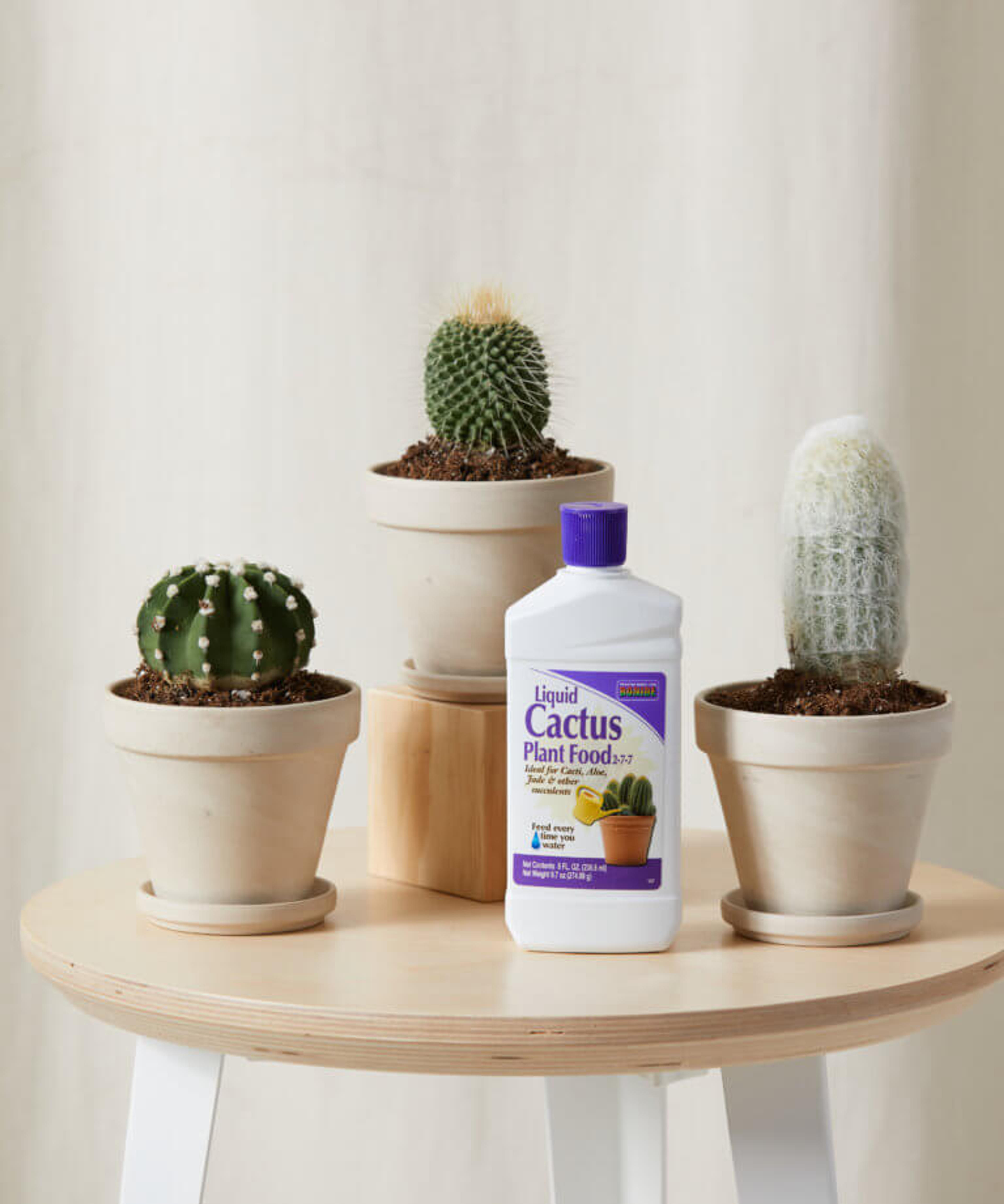 Buy Cacti Fertilizer (2-7-7) for Cacti and Succulents | Bloomscape