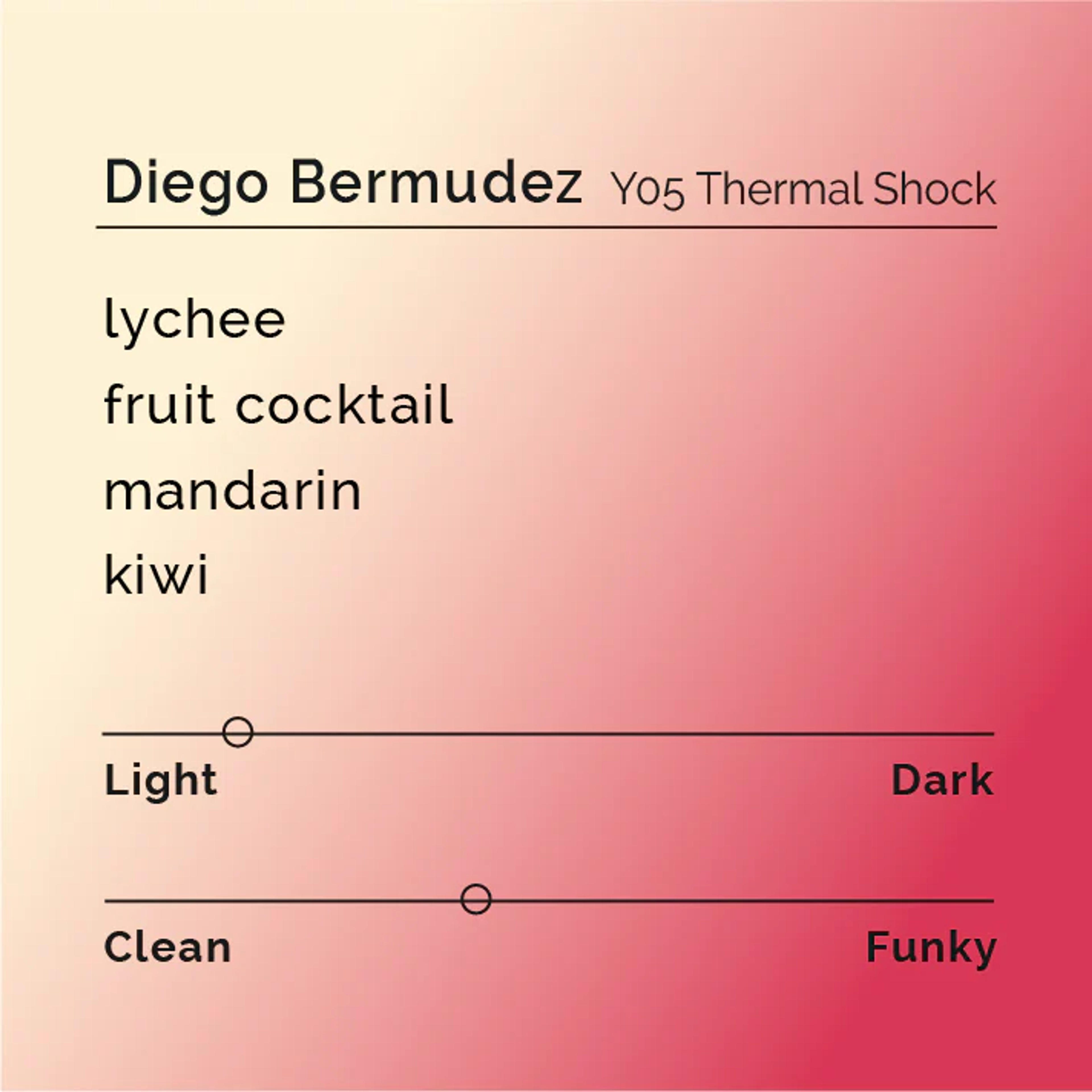 Diego Bermudez Y05 Thermal Shock | Colombia | Black & White Coffee