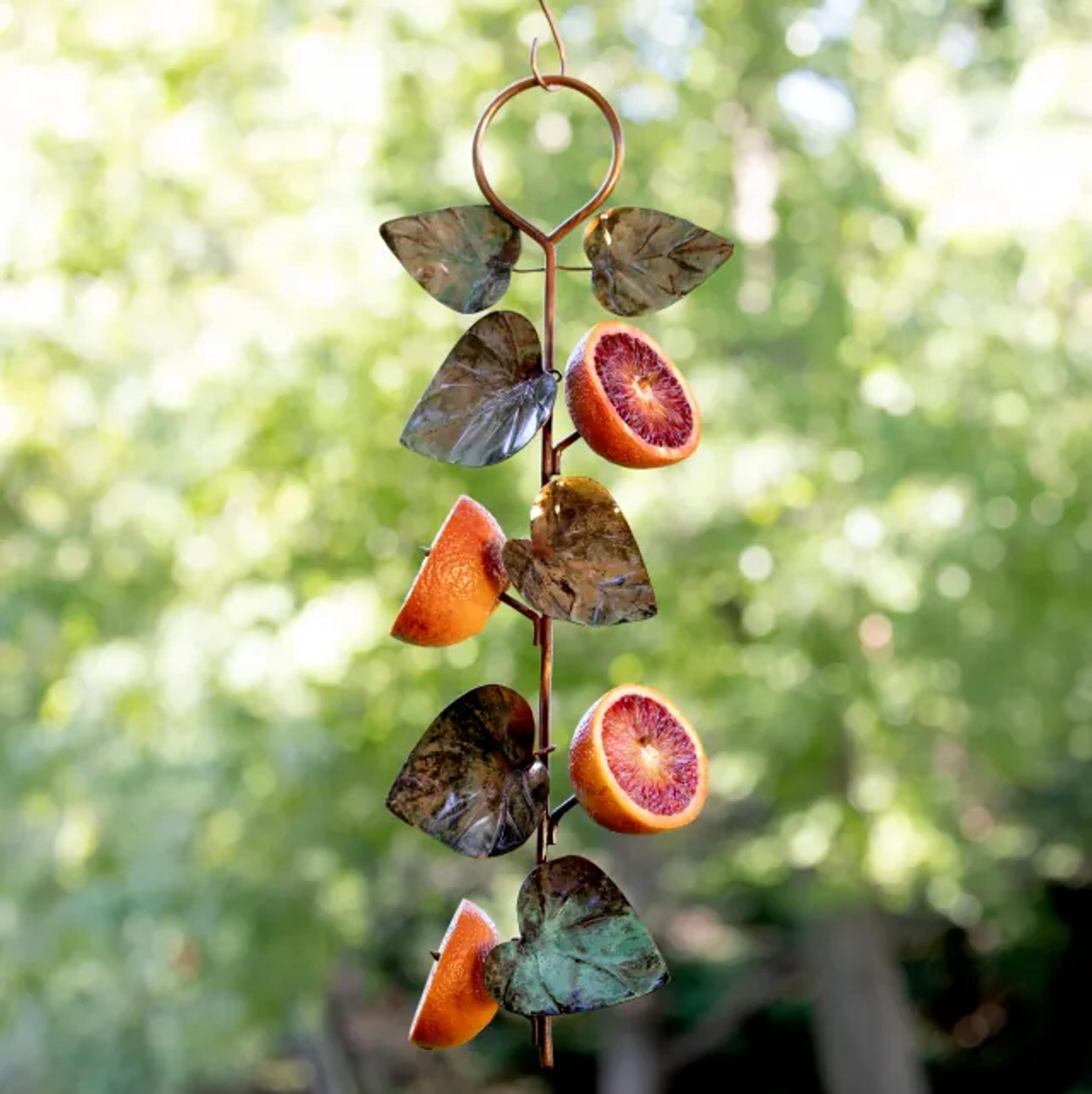 Birdie Fruit Feeder | Frugivorous Bird Feeder