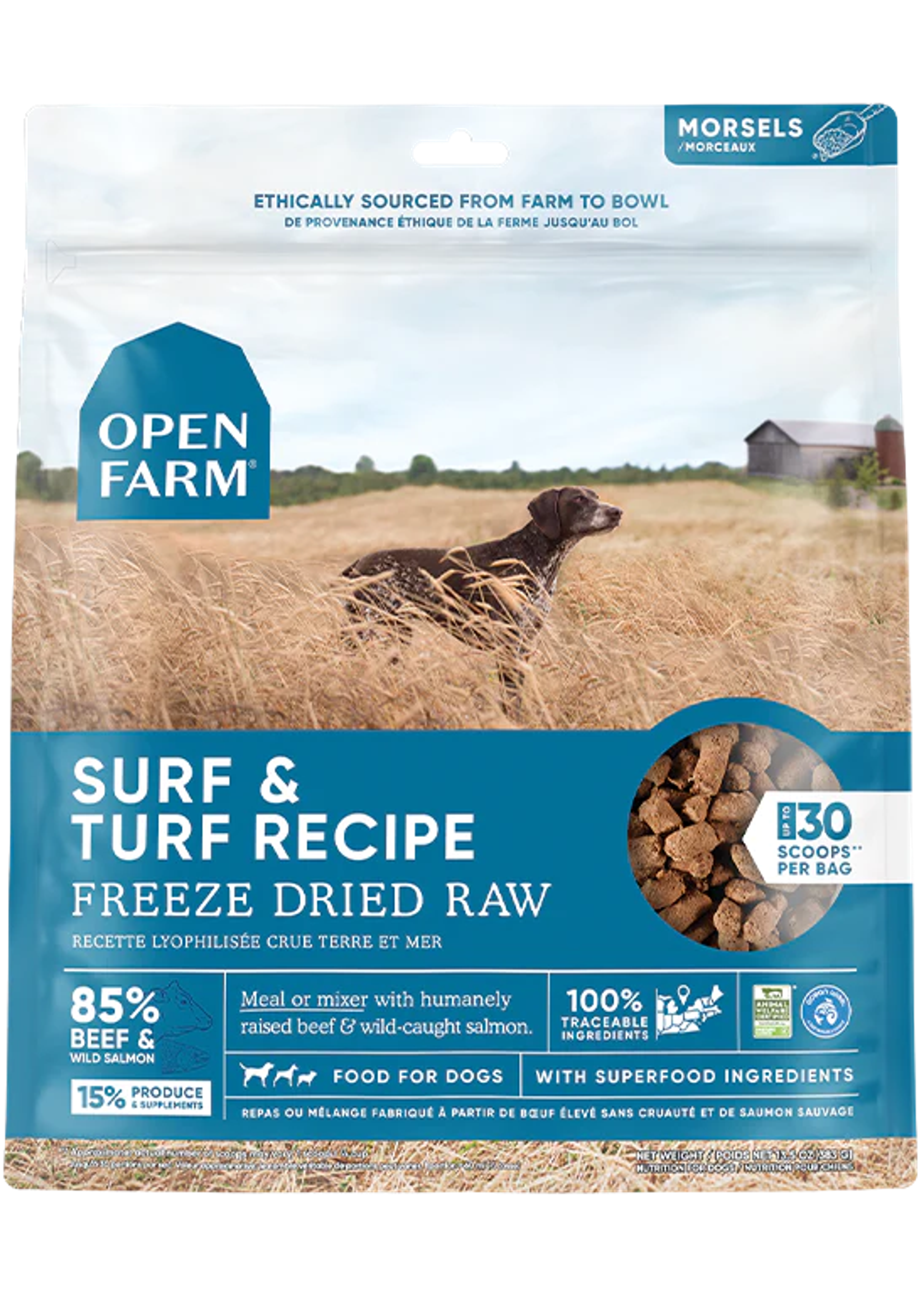 Freeze Dried Salmon & Beef Raw Dog Food | Open Farm