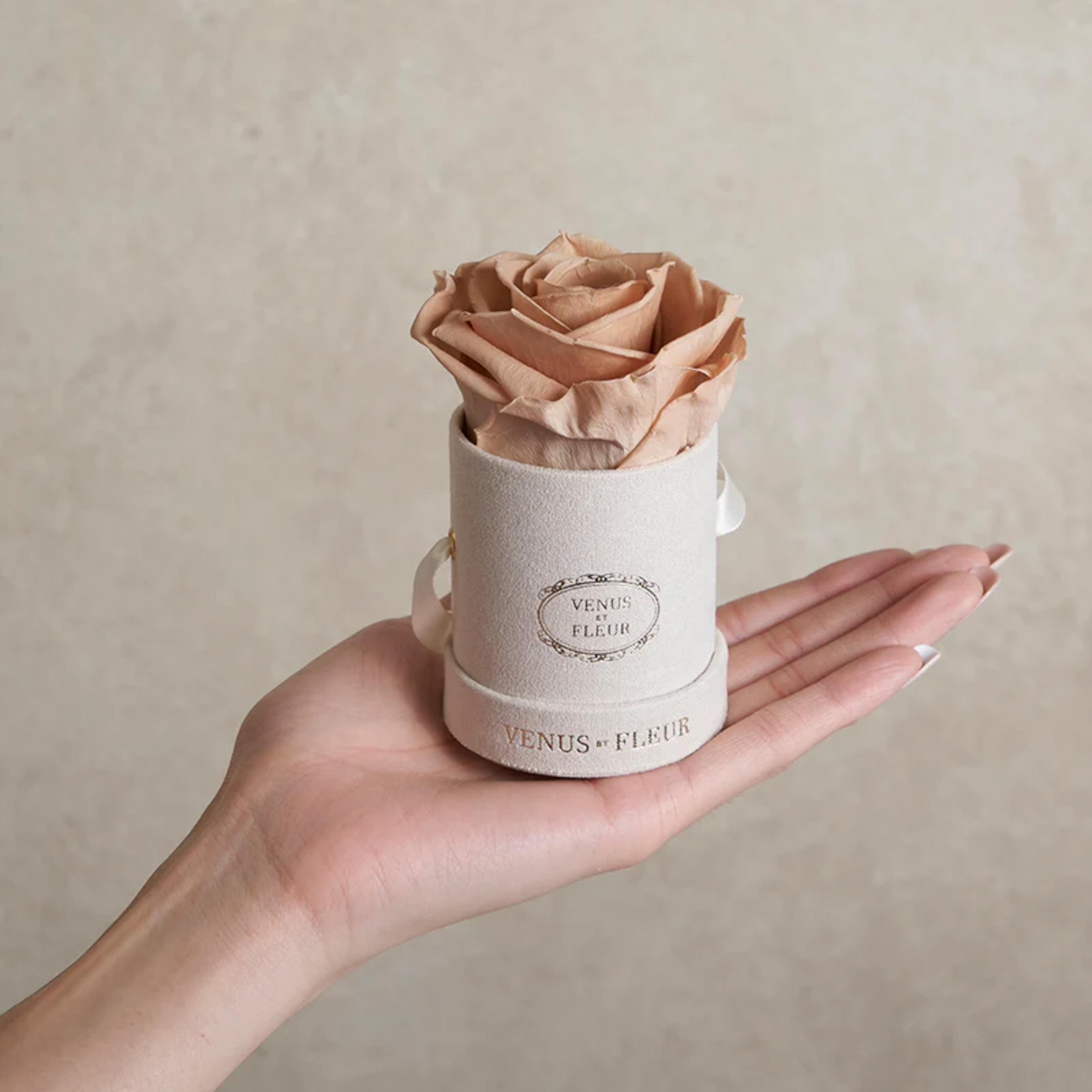 Le Mini Round - Cream Suede with Eternity Roses – Venus et Fleur