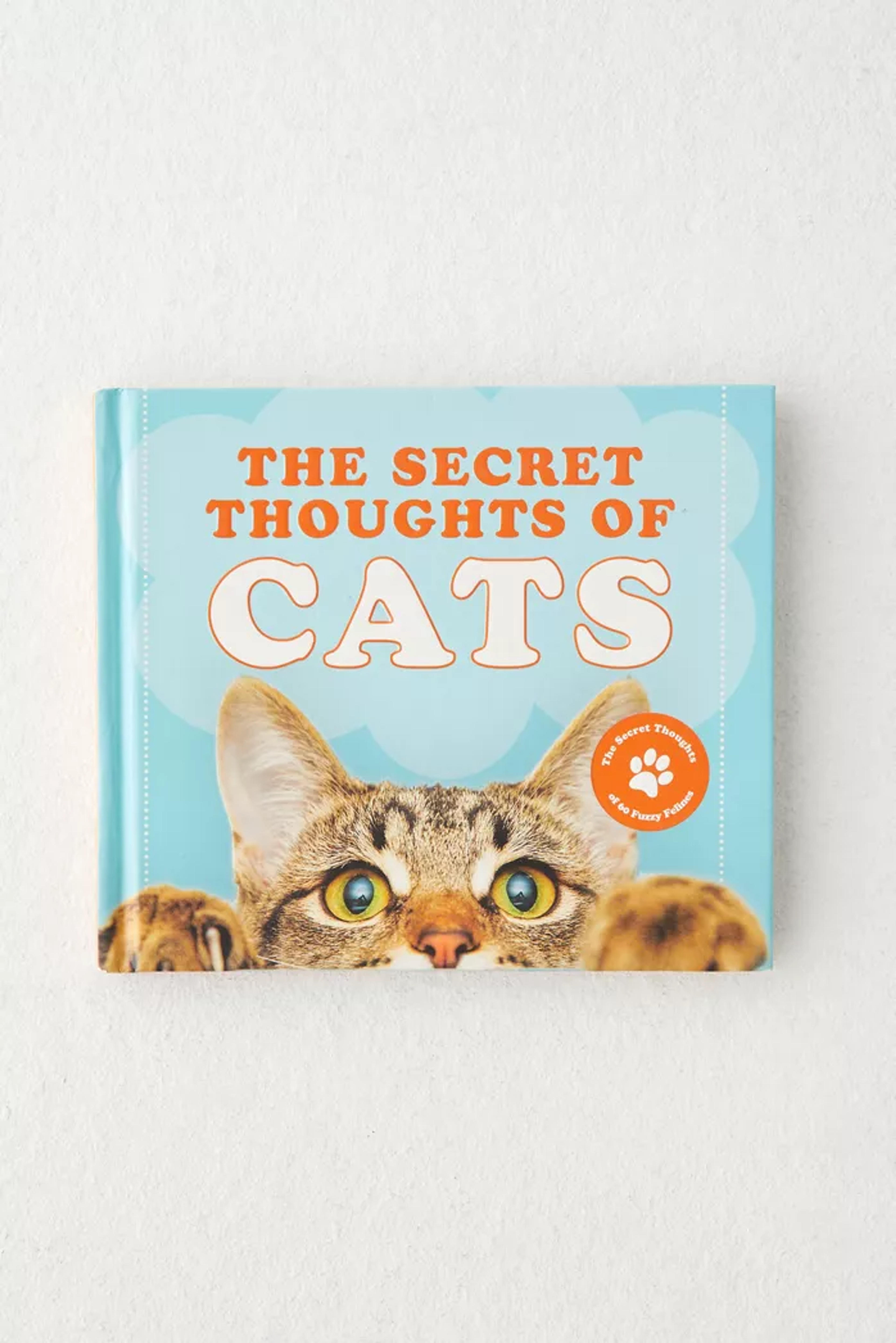 The Secret Thoughts Of Cats By CJ Rose | Urban Outfitters