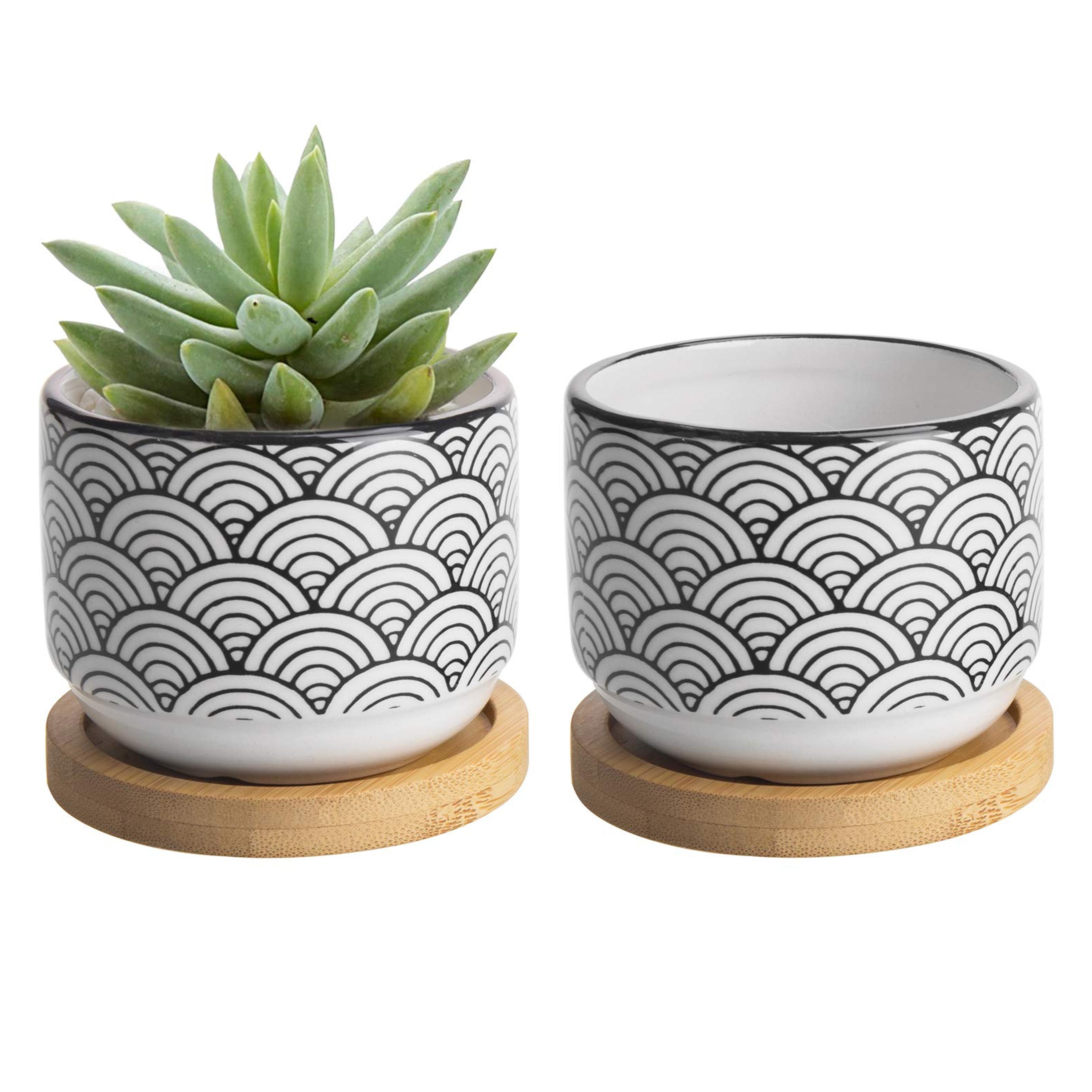 3 inch Japanese Style Wave Ceramic Succulent Planter Pots with Bamboo Drip Tray, Set of 2, White & Blue