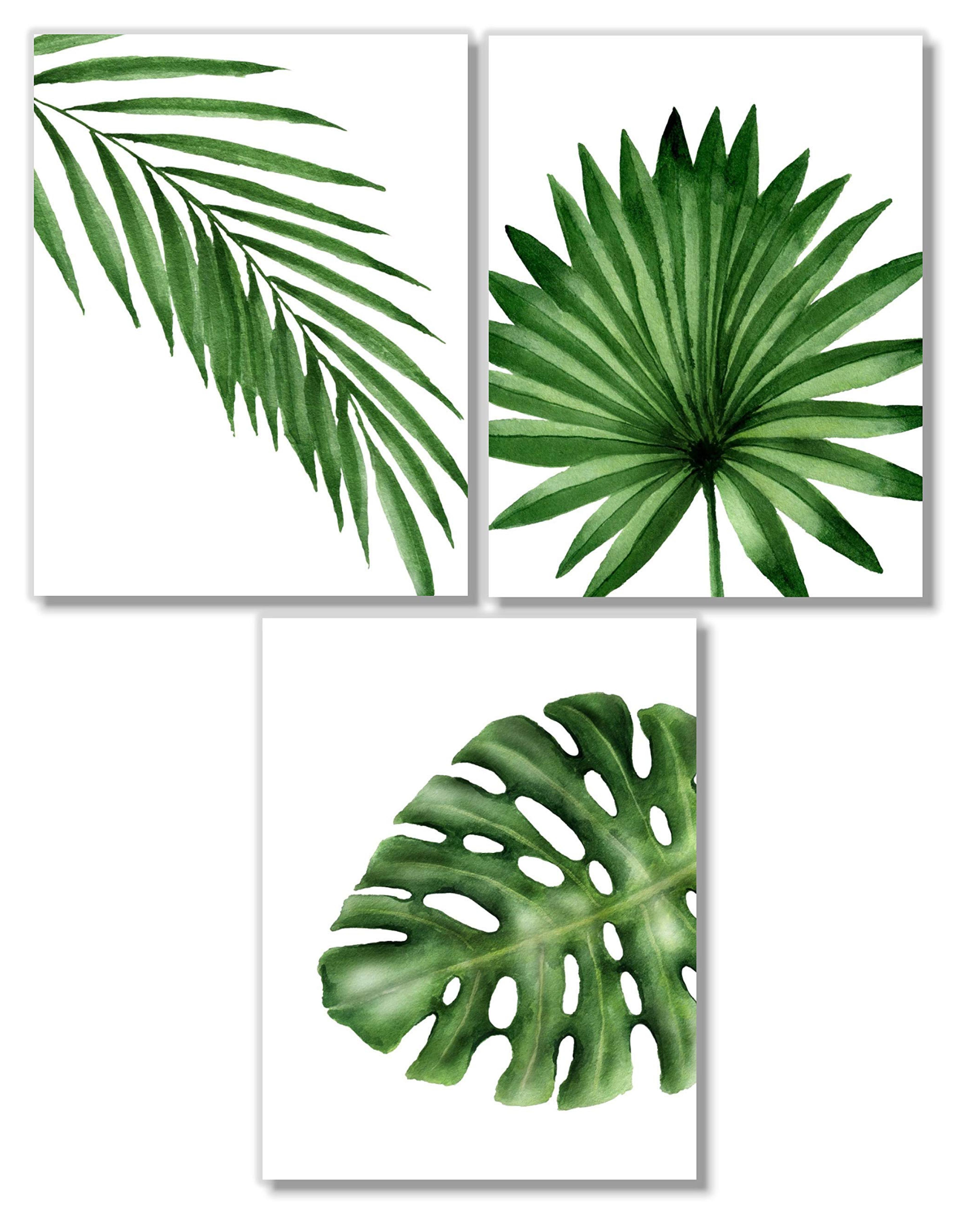 Amazon.com: Tropical Leaves Art Prints - Botanical Prints Wall Art - Watercolor Monstera Date Palm Leaf Decor - Set of 3-8x10 - UNFRAMED : Handmade Products