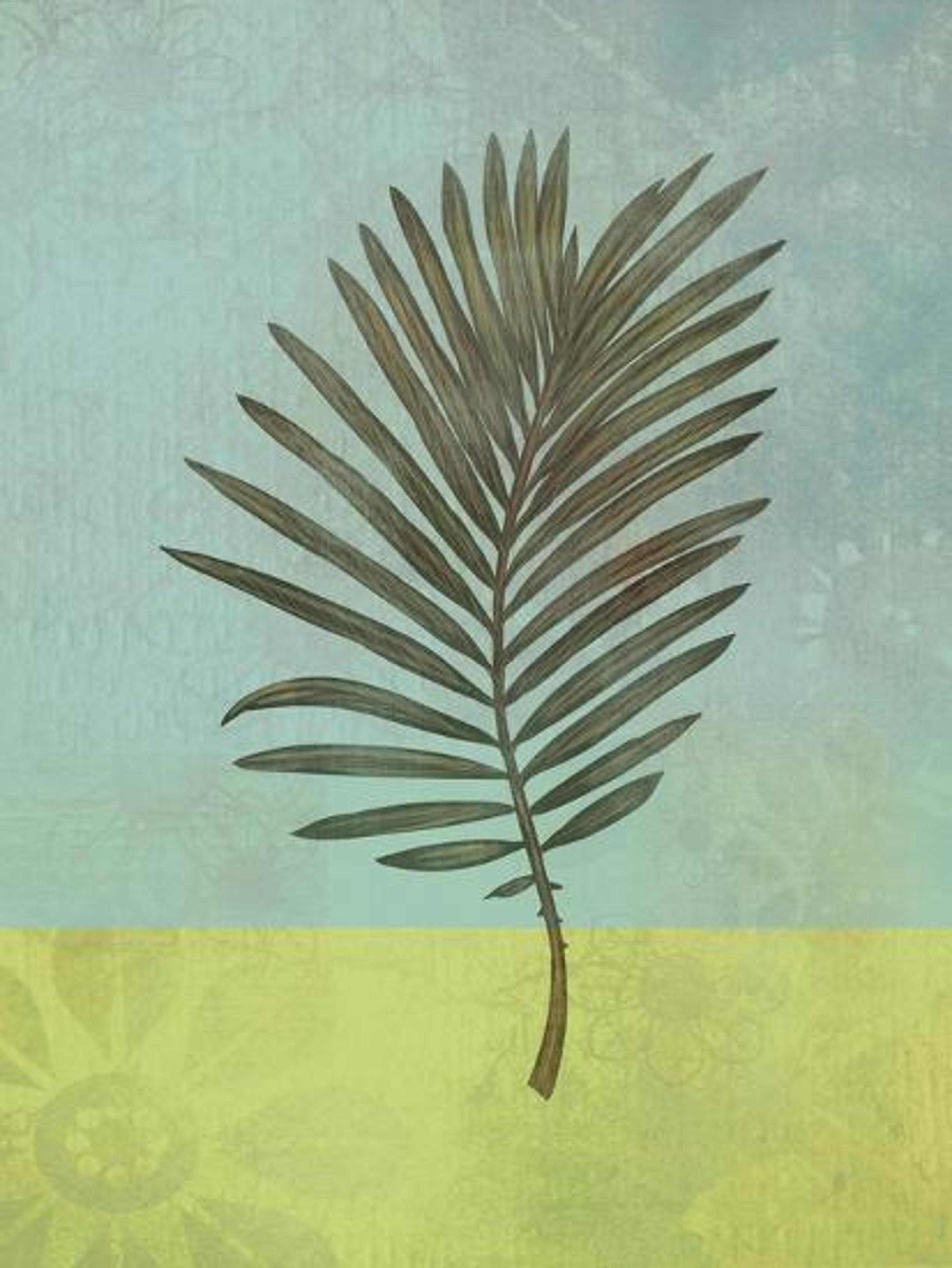 'Palm Leaf' Art Print - , JMB Designs | Art.com