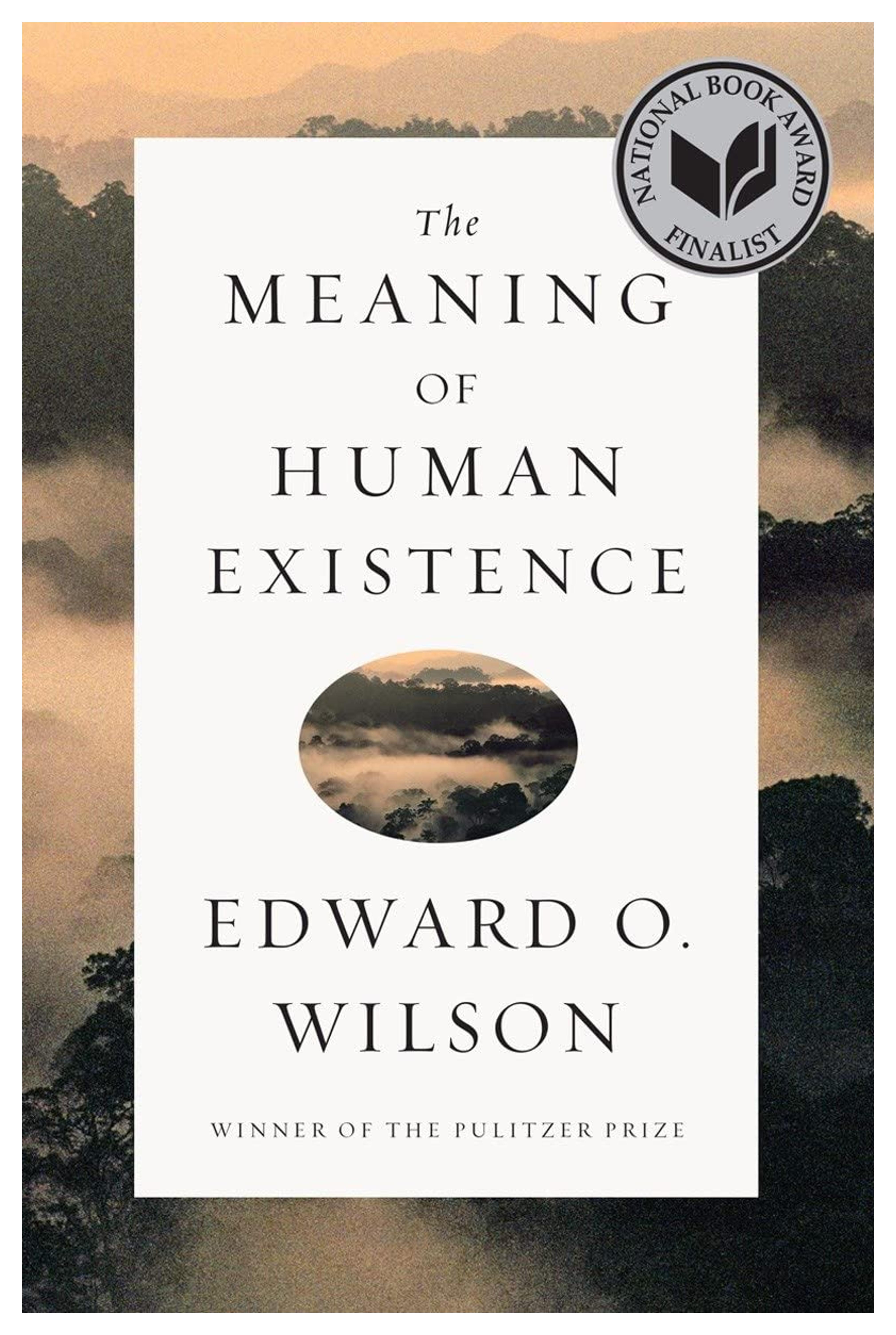 The Meaning of Human Existence