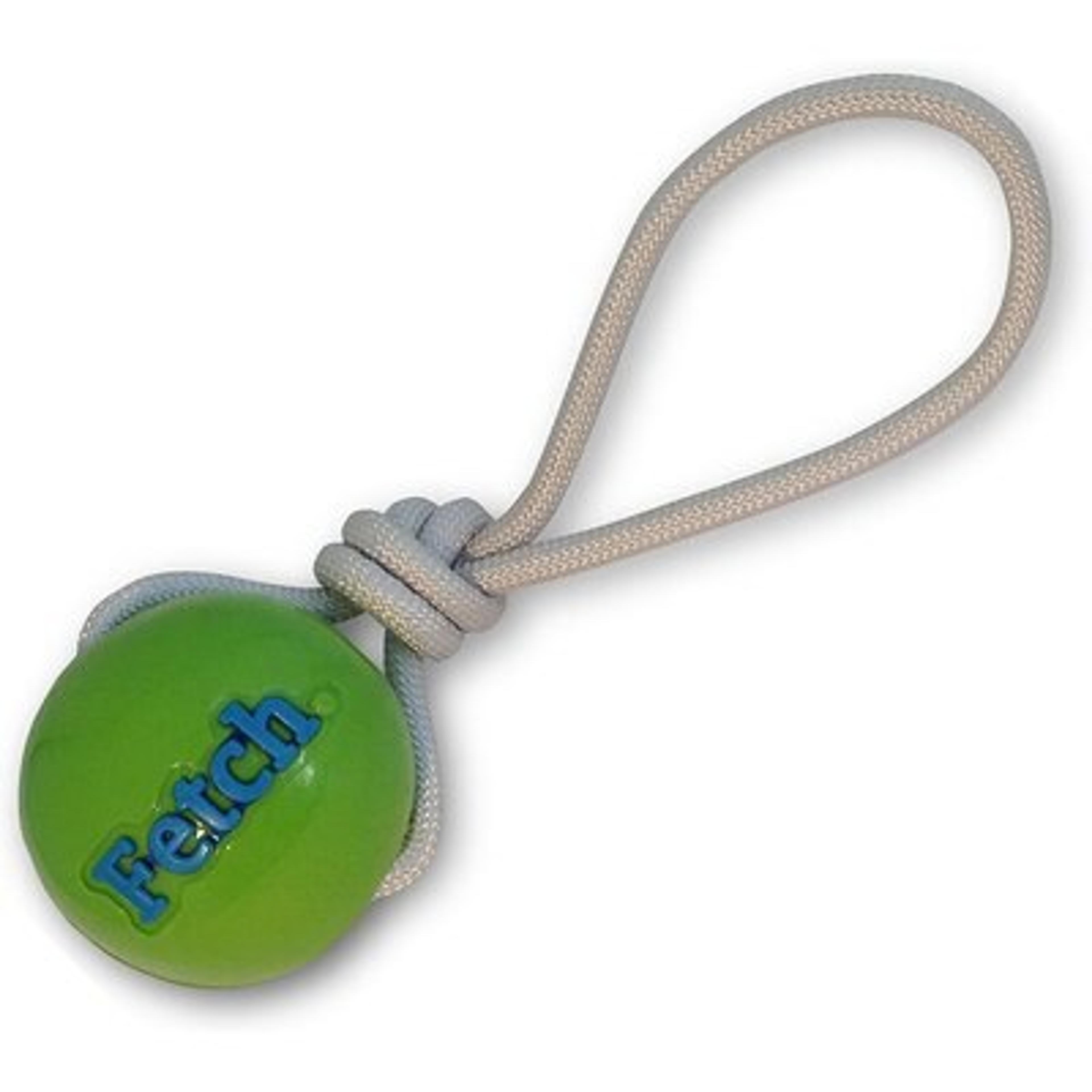 Planet Dog Orbee-Tuff Fetch Ball with Rope Tough Dog Chew Toy, Green