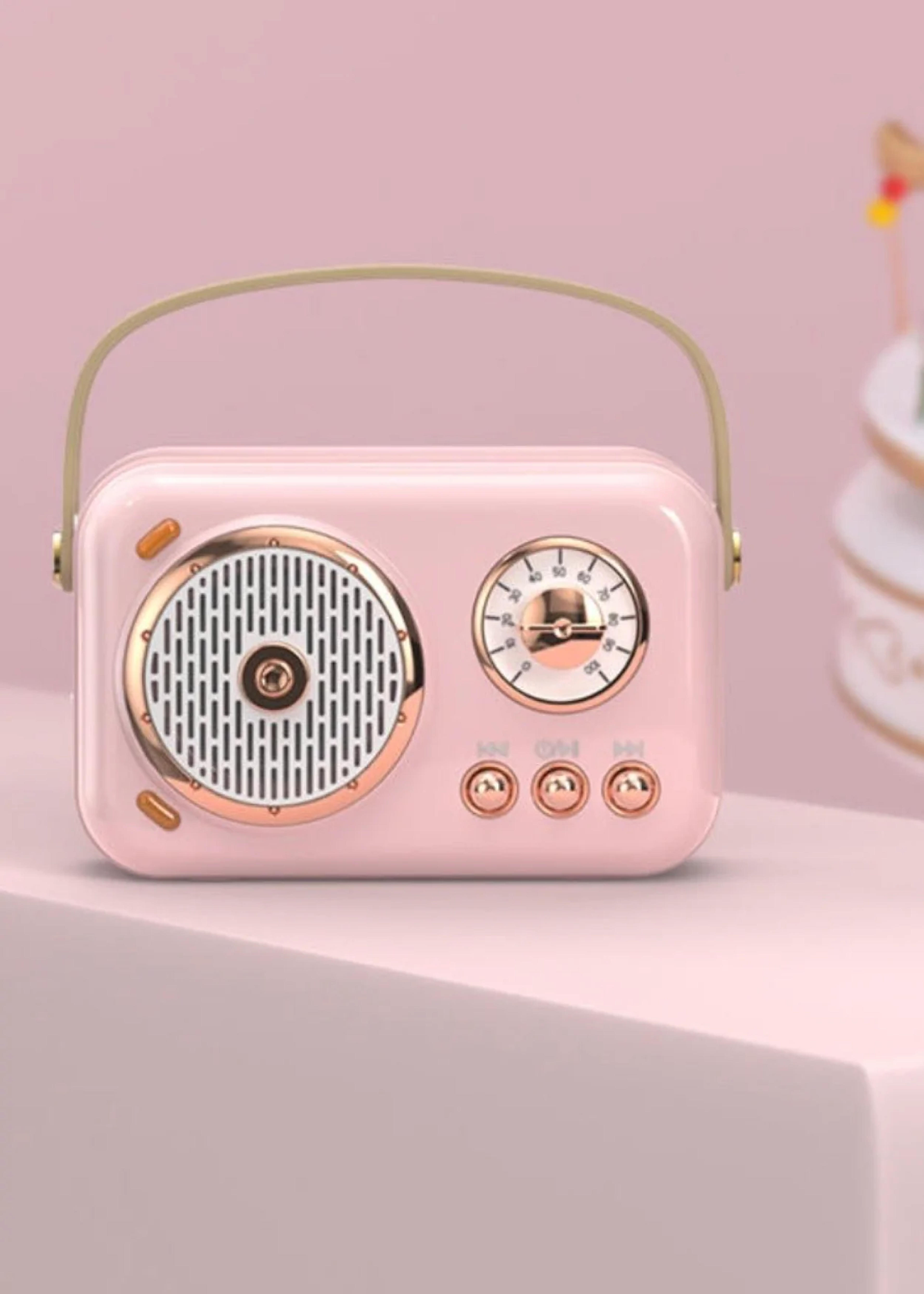 On-the-Go Mini Karaoke Player – Paris Hilton Shop