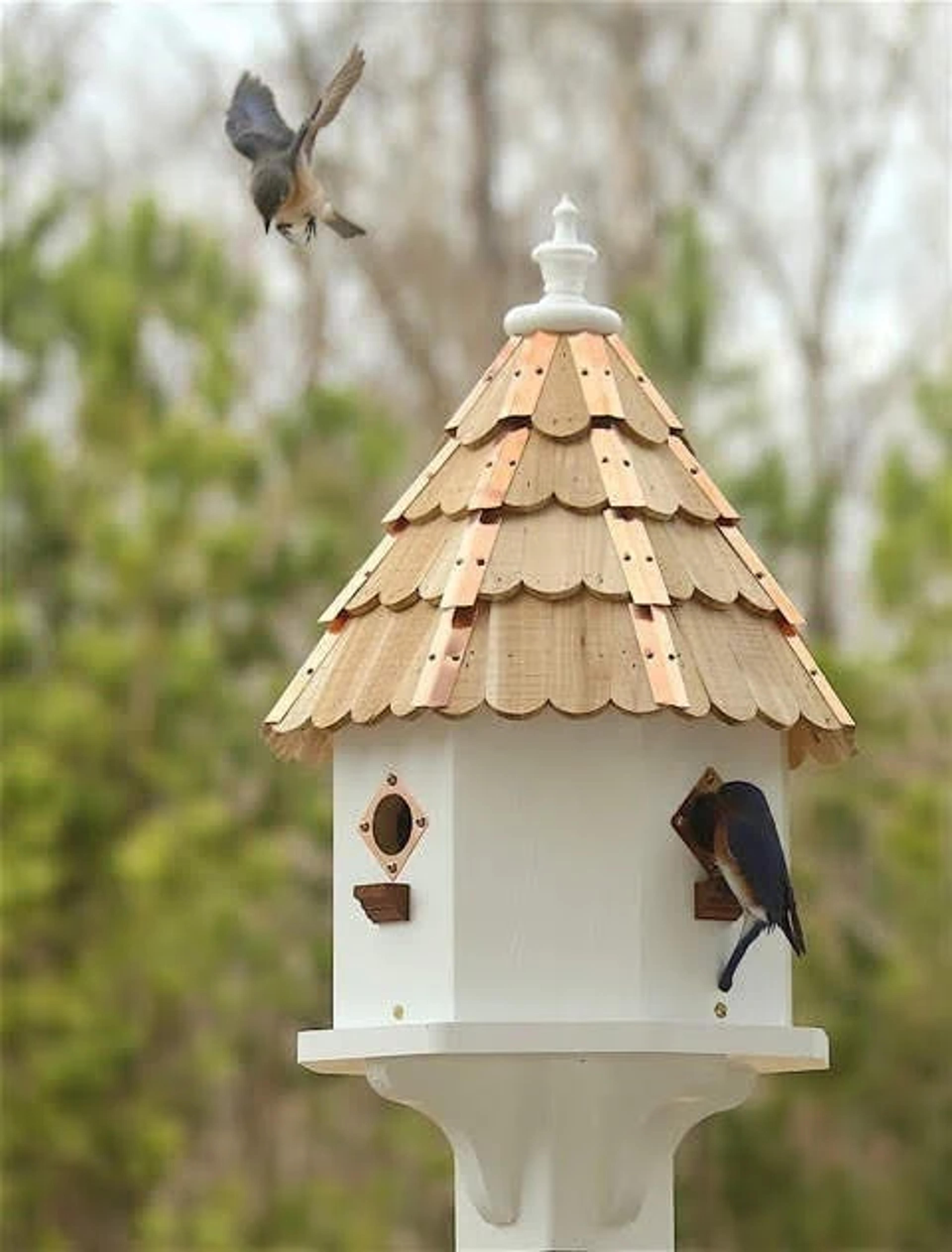 Starlight Lodge© Bluebird Condo Large Cypress Bird House W - Etsy