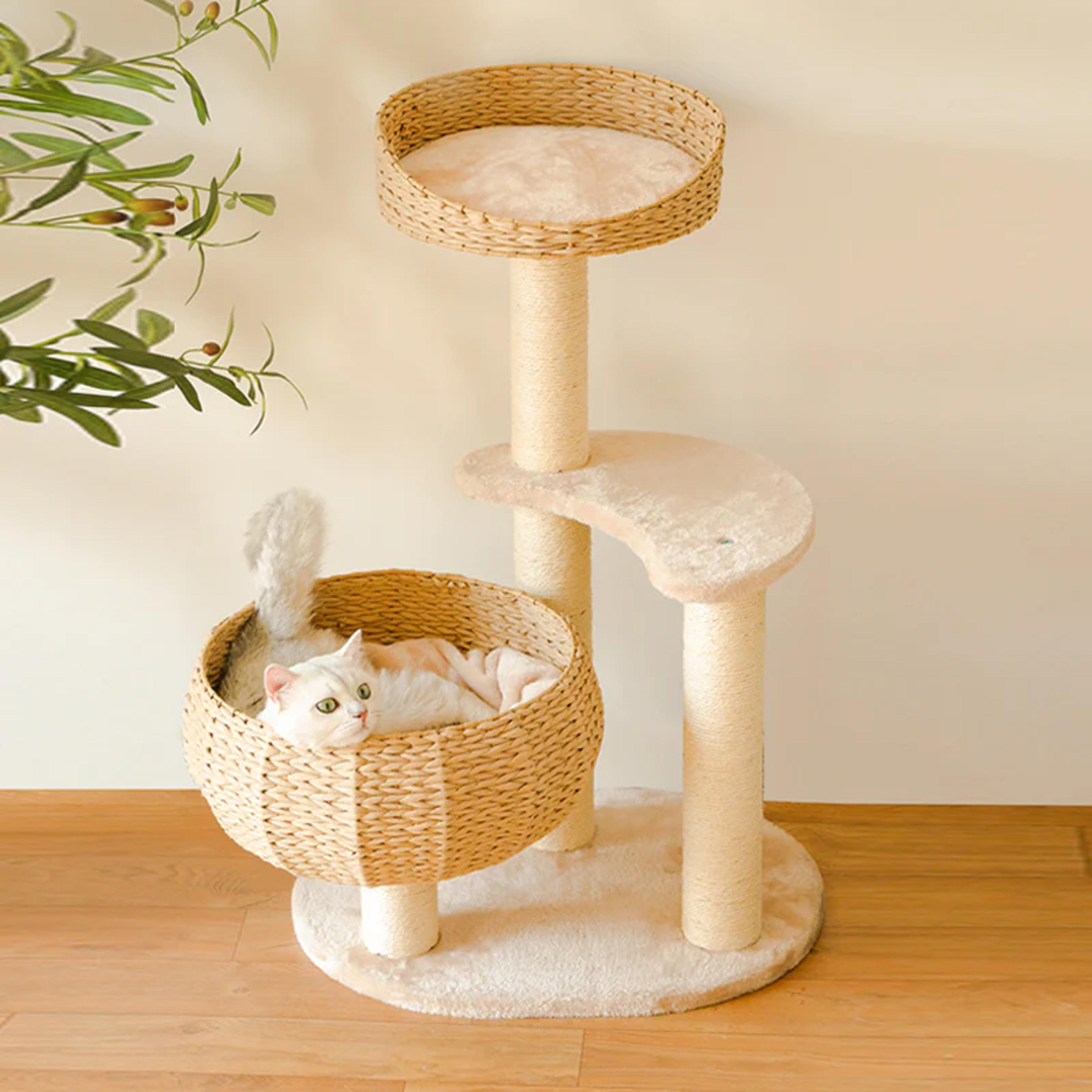 Sleeping in the Bowl Cat Tree – Happy & Polly