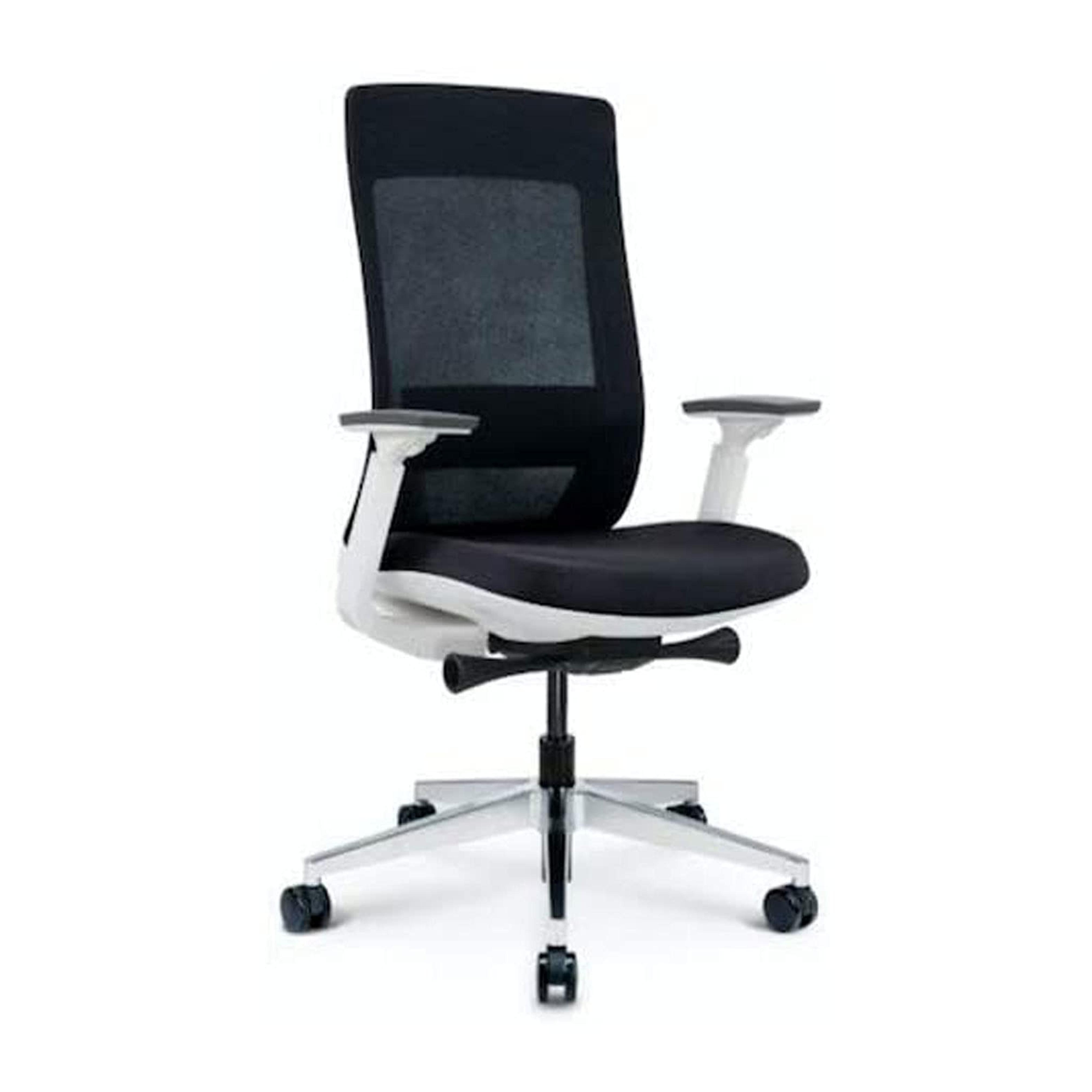 Amazon.com: Ergohuman Elevate Black Mesh Back with Black Fabric Seat, Weight Balance, Tilt and Height Adjustment, Office Desk Chair (White Frame) : Home & Kitchen