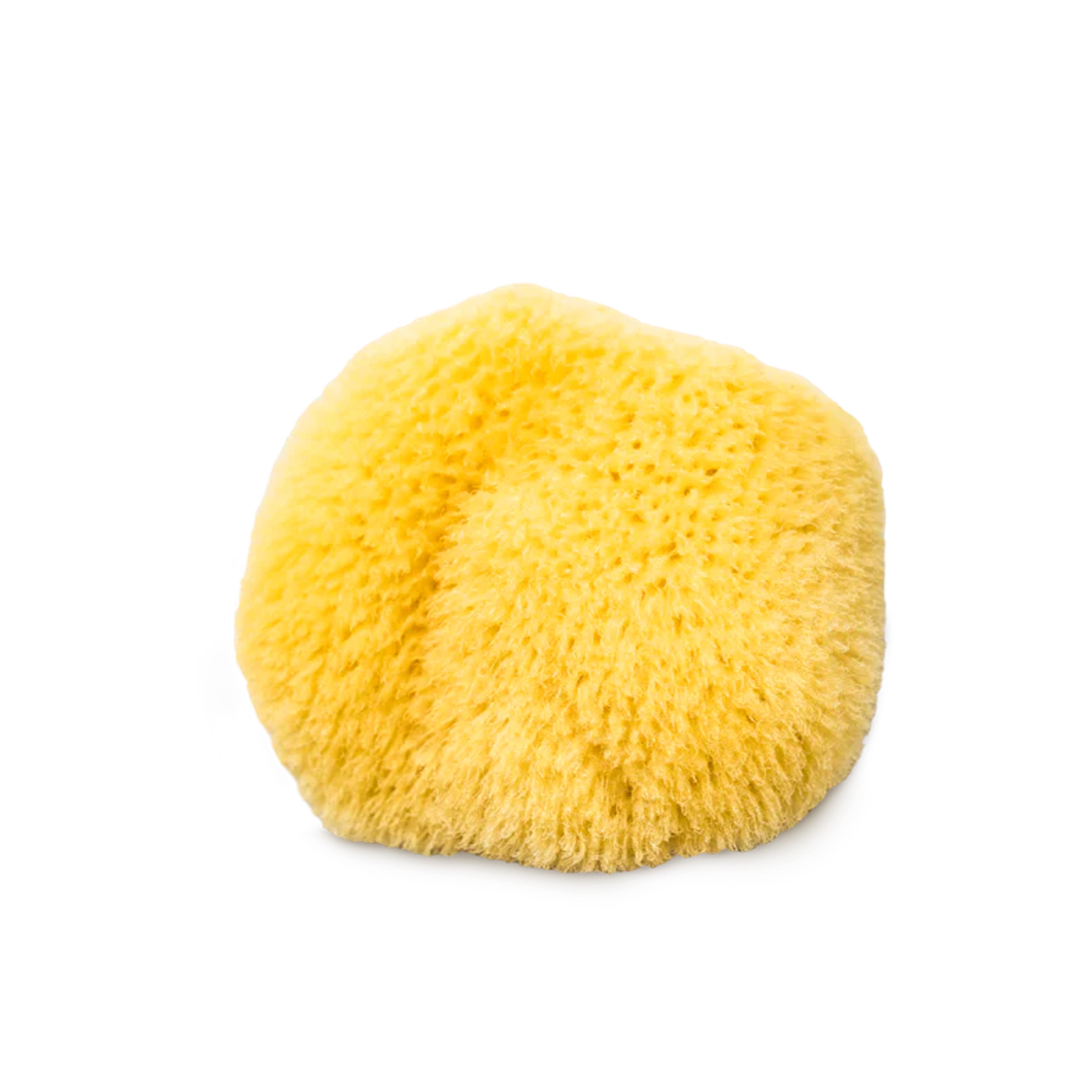 Caribbean Silk Sea Sponge – Kat Burki Skincare