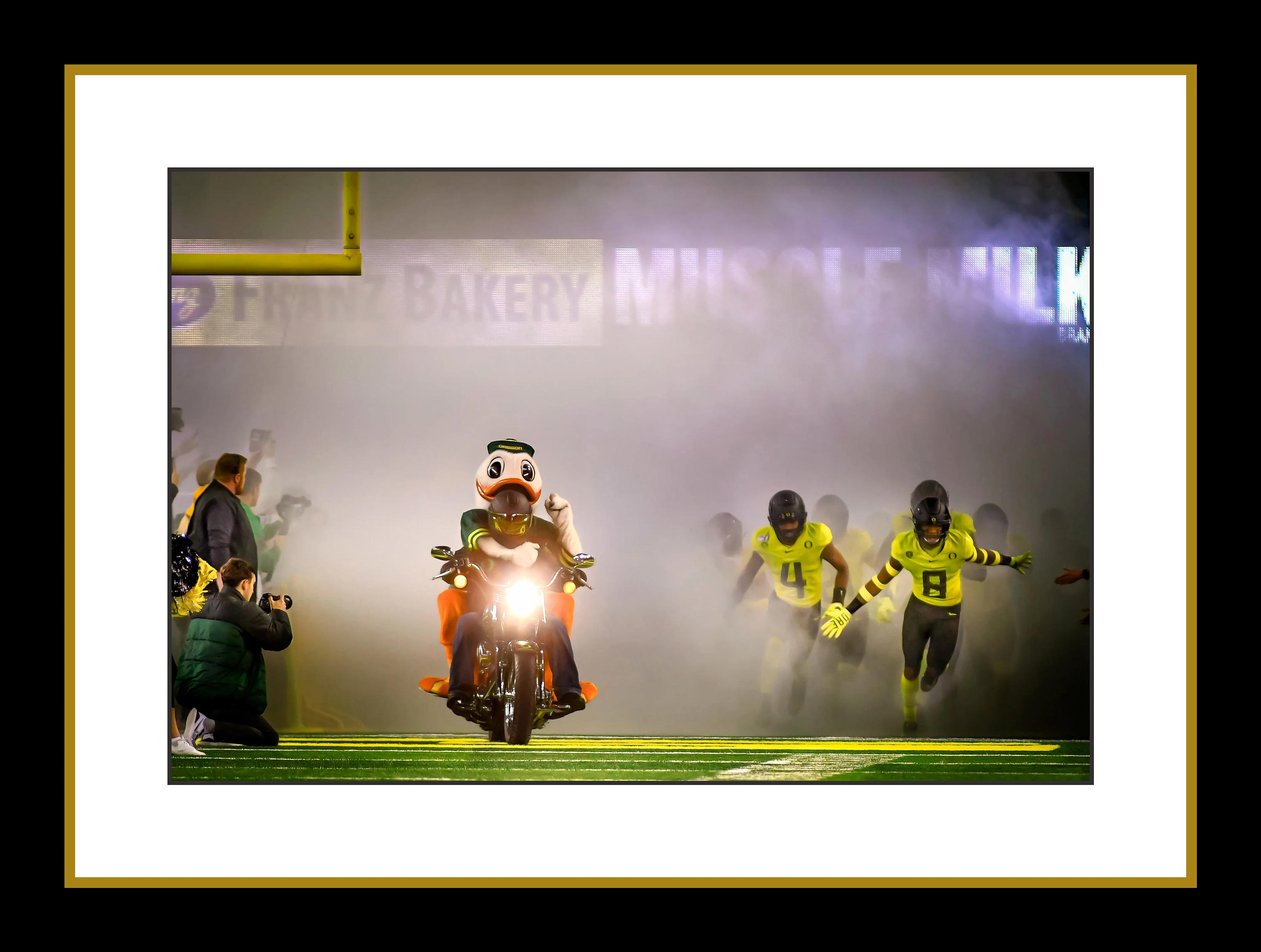 Here Come the Ducks Duck Harley Leads the Team Into Autzen. | Etsy