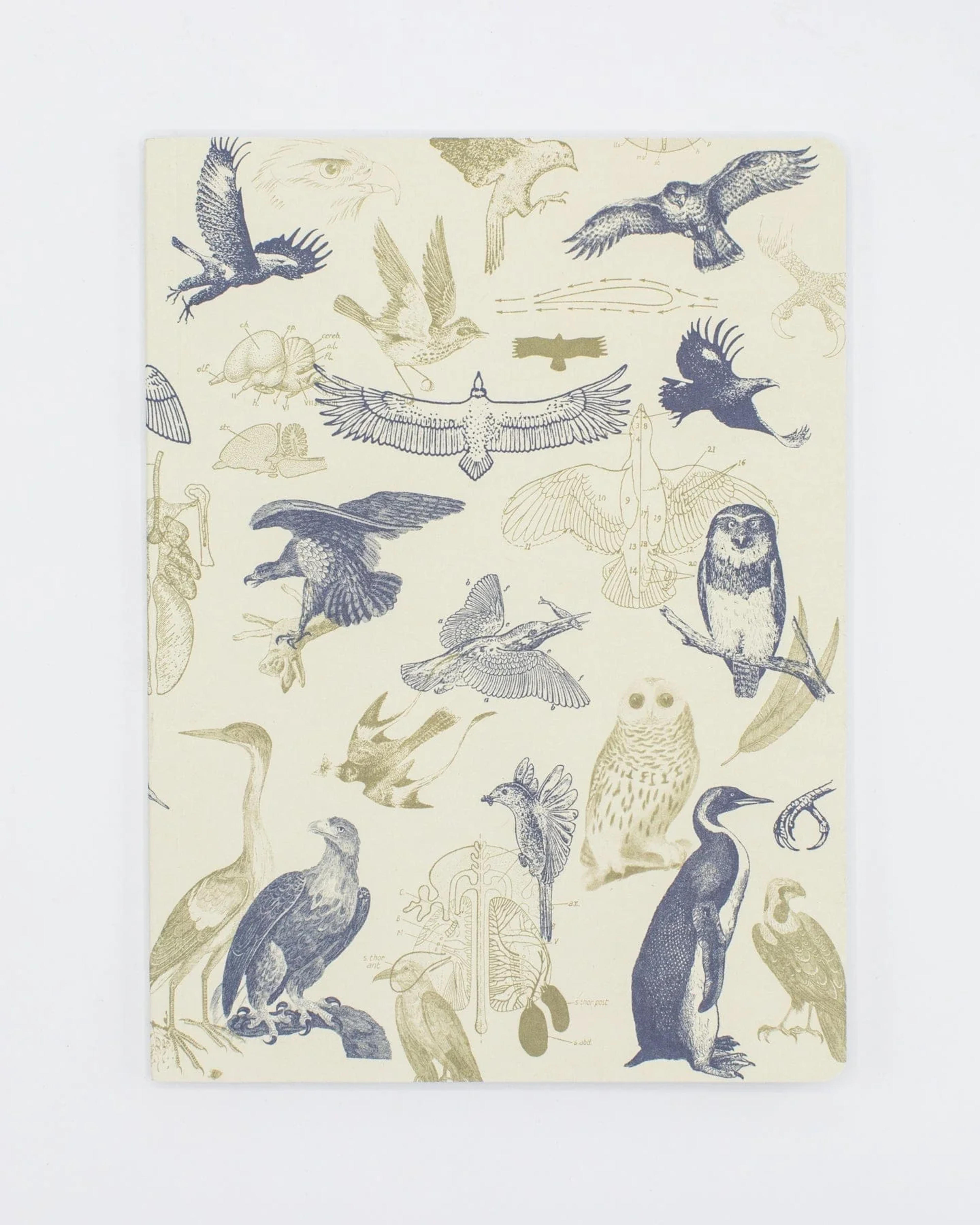 Birds of Prey Notebook - Softcover| Ecology