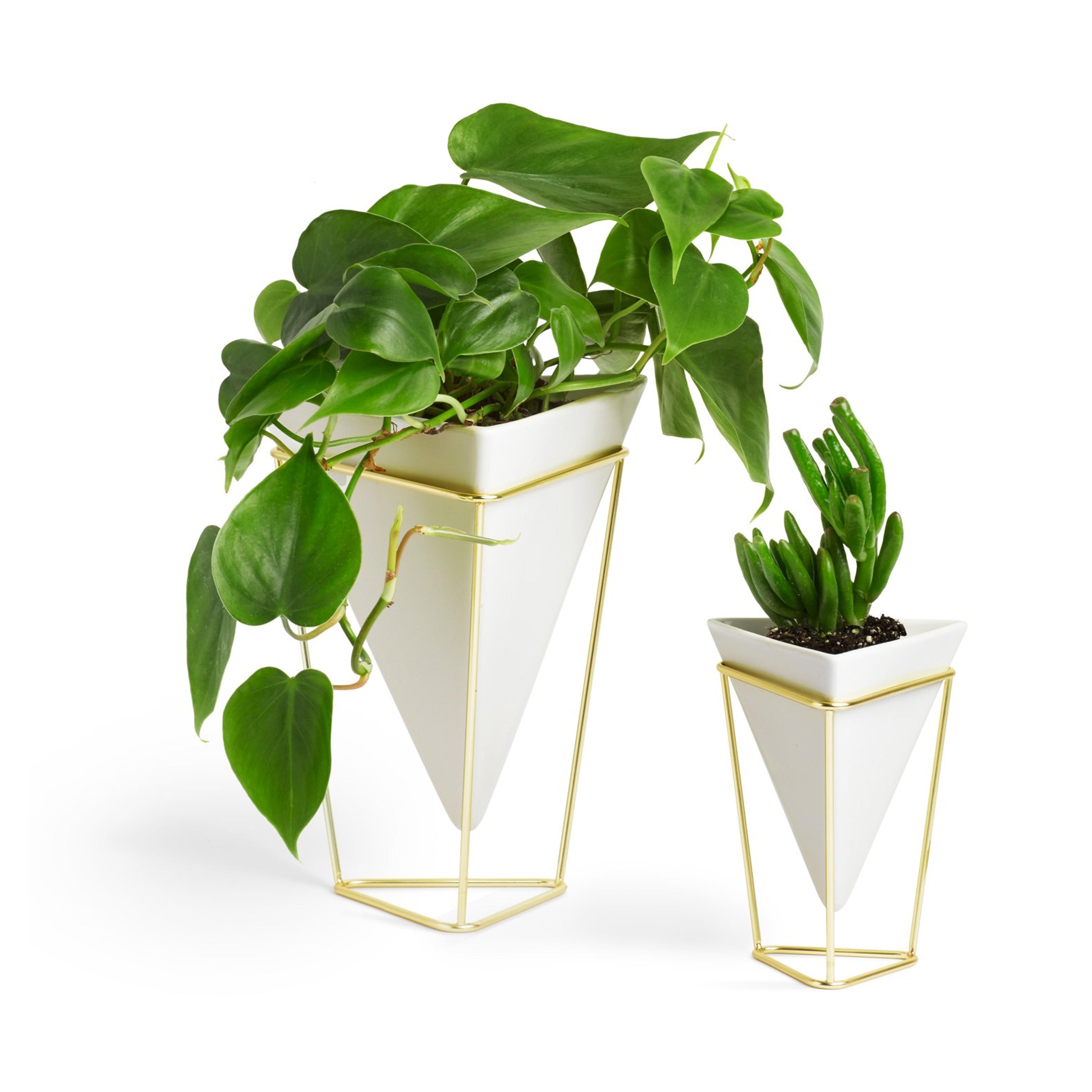 Umbra Trigg Desk Vessel (Set of 2), White/Brass