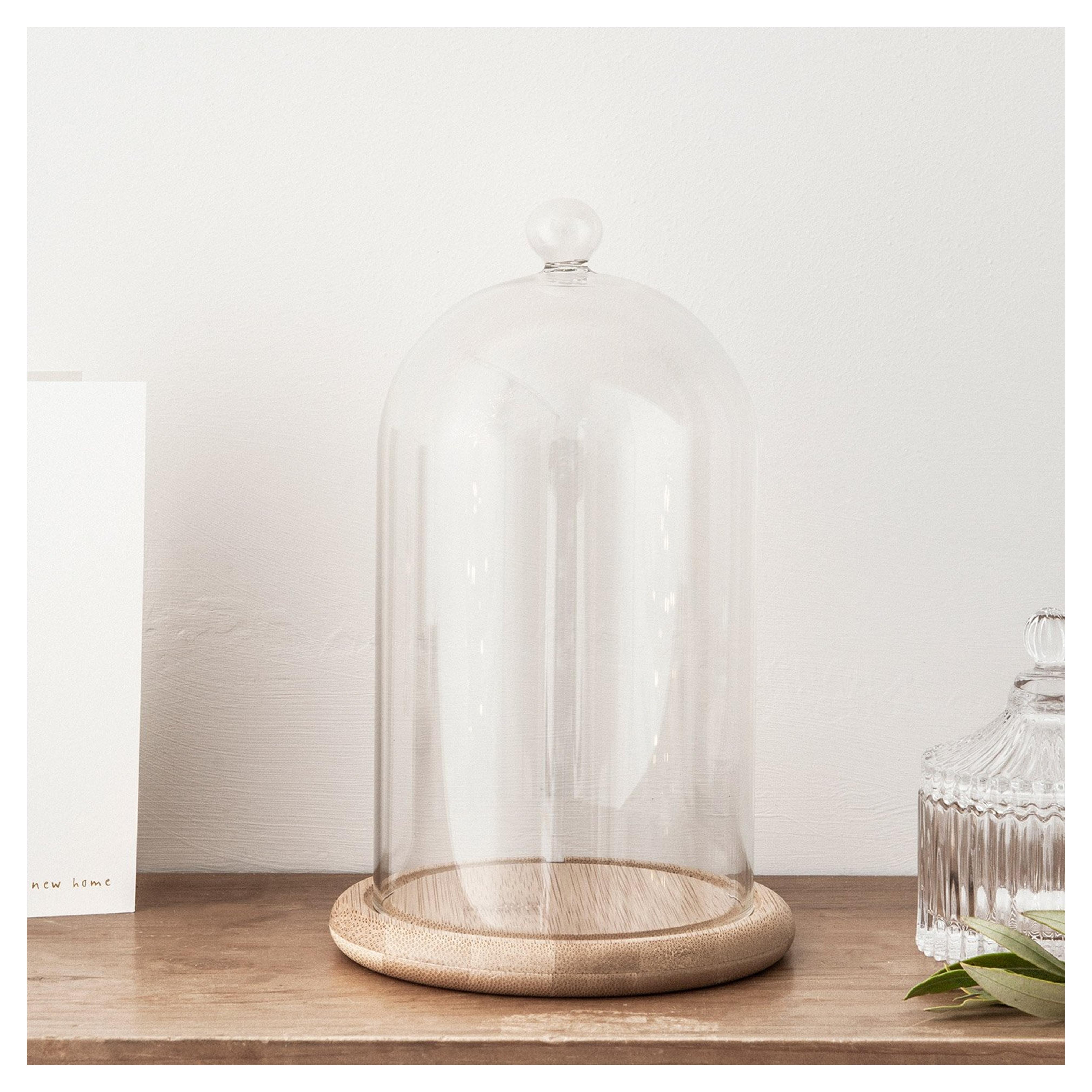 Amazon.com: Lights4fun, Inc. Glass Cloche Bell Jar Display Dome with Bamboo Base - 8" x 5" : Home & Kitchen