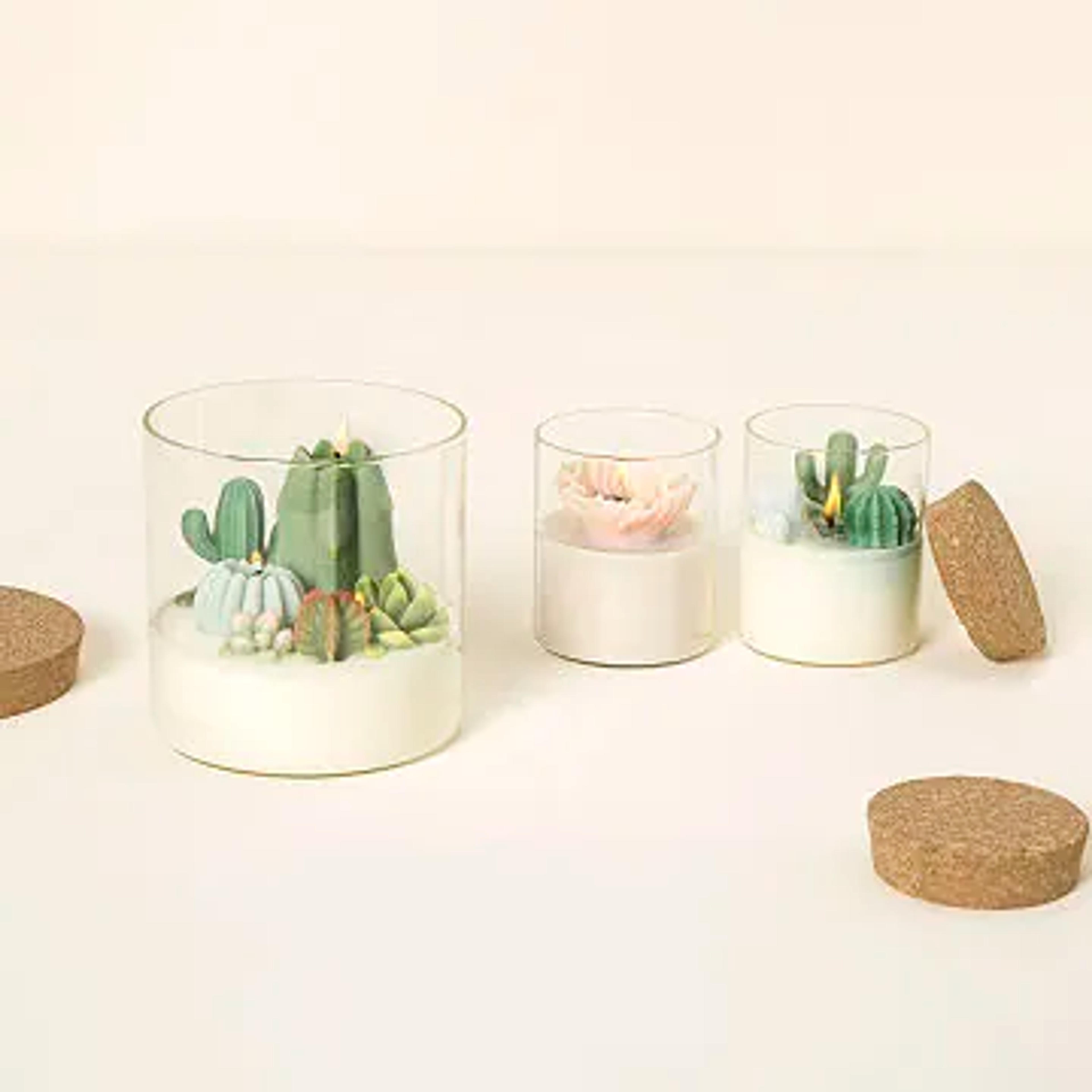 uncommongoods.com/product/terrarium-candle