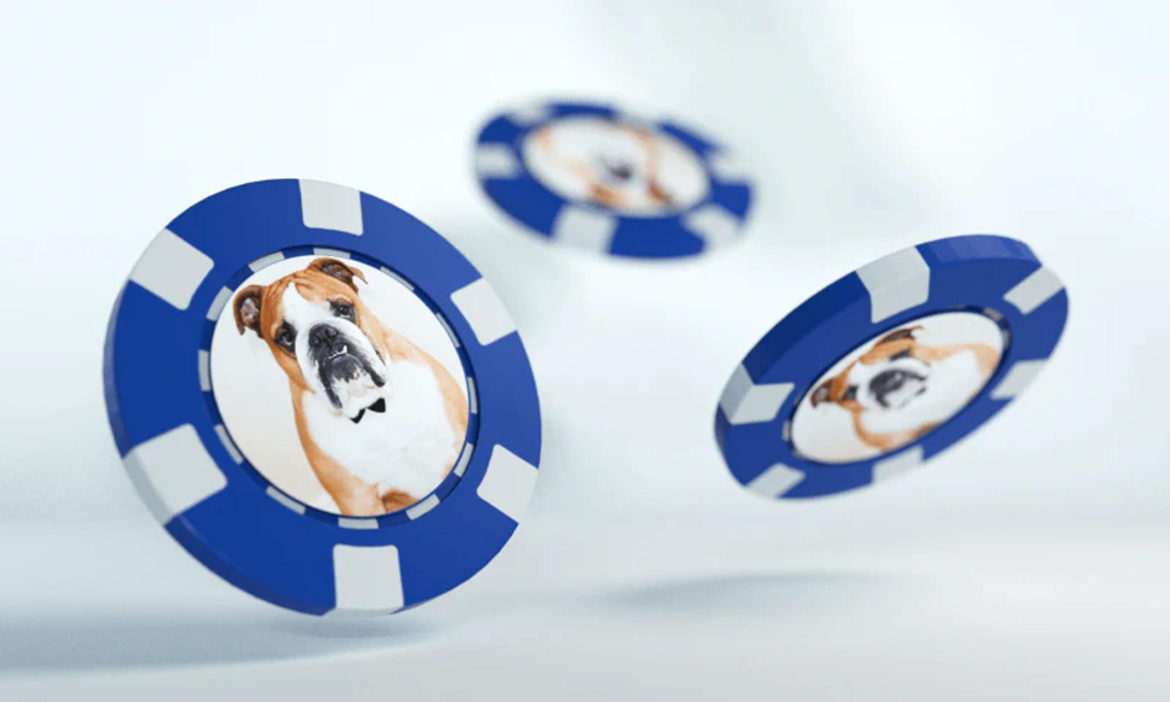 Custom Ball Markers With Pet Photo (3-Pack) | Cuddle Clones