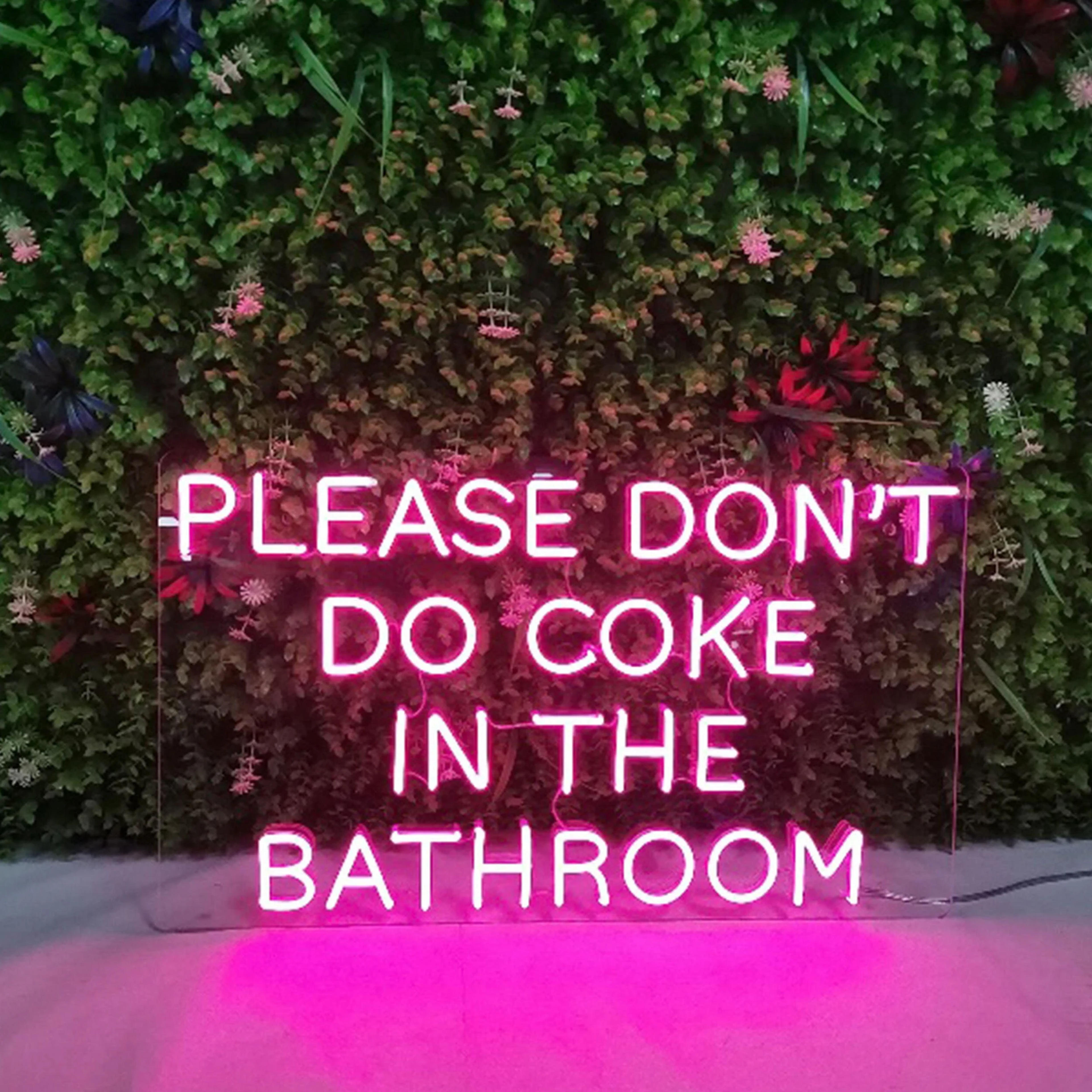 Please Don't Do Coke In The Bathroom Neon Schild Licht - Etsy Schweiz