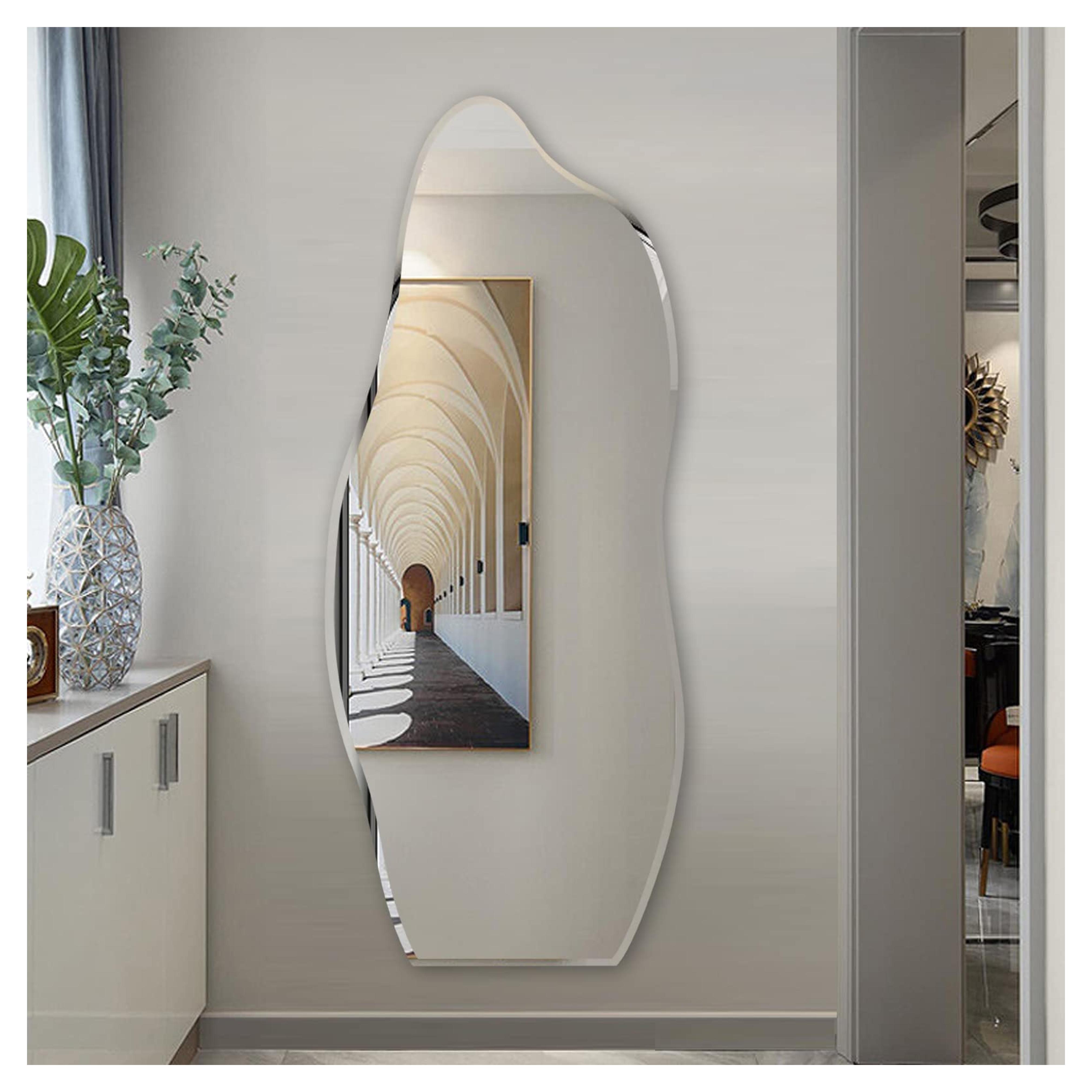 Broojo Irregular Wall Mirror Asymmetrical Accent Wall Mounted Mirror 19.6 x 47 Inch for Living Room Bathroom Entryway, Dolphin Type