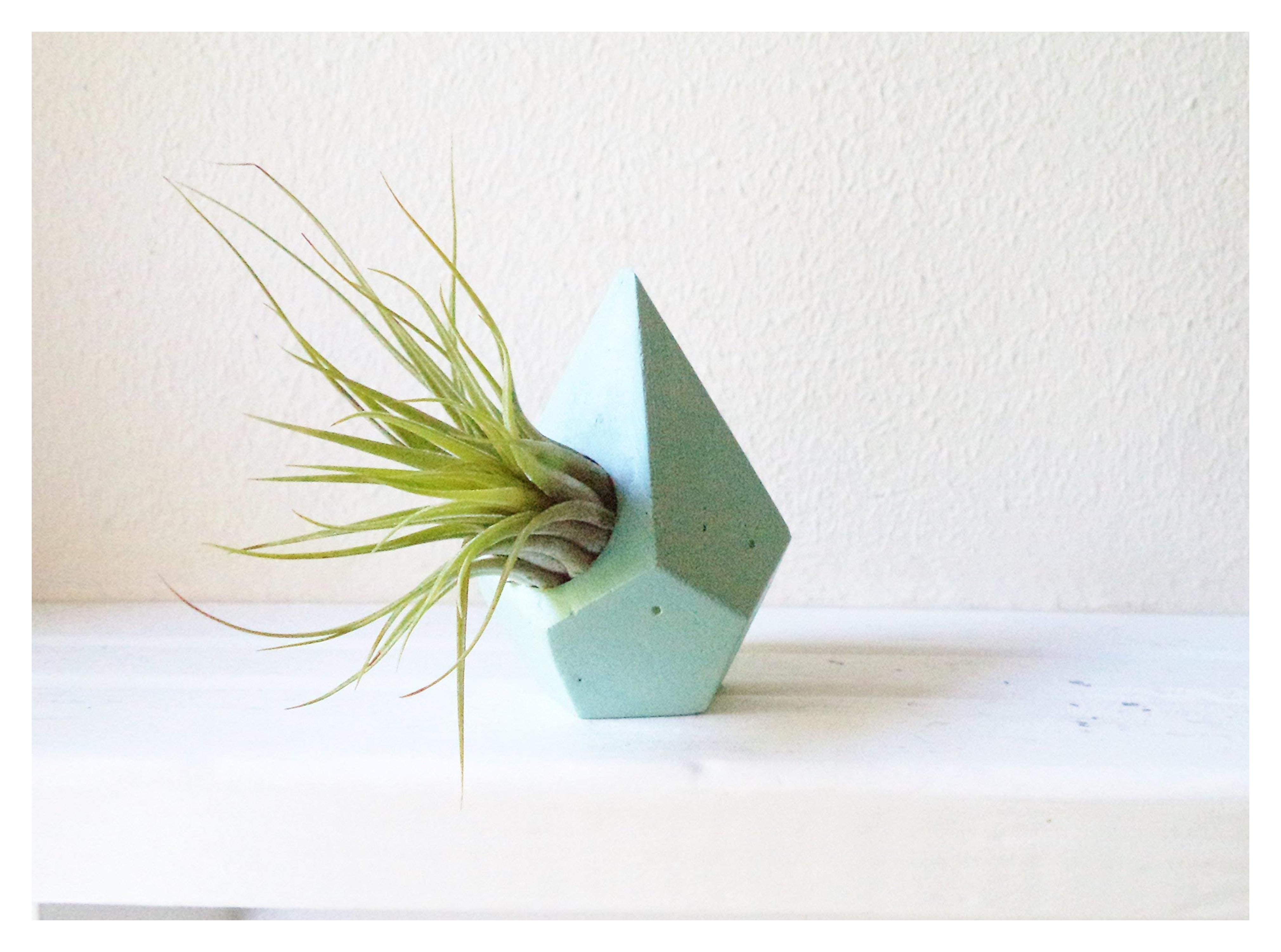 Geometric teardrop mini planter , air plant holder