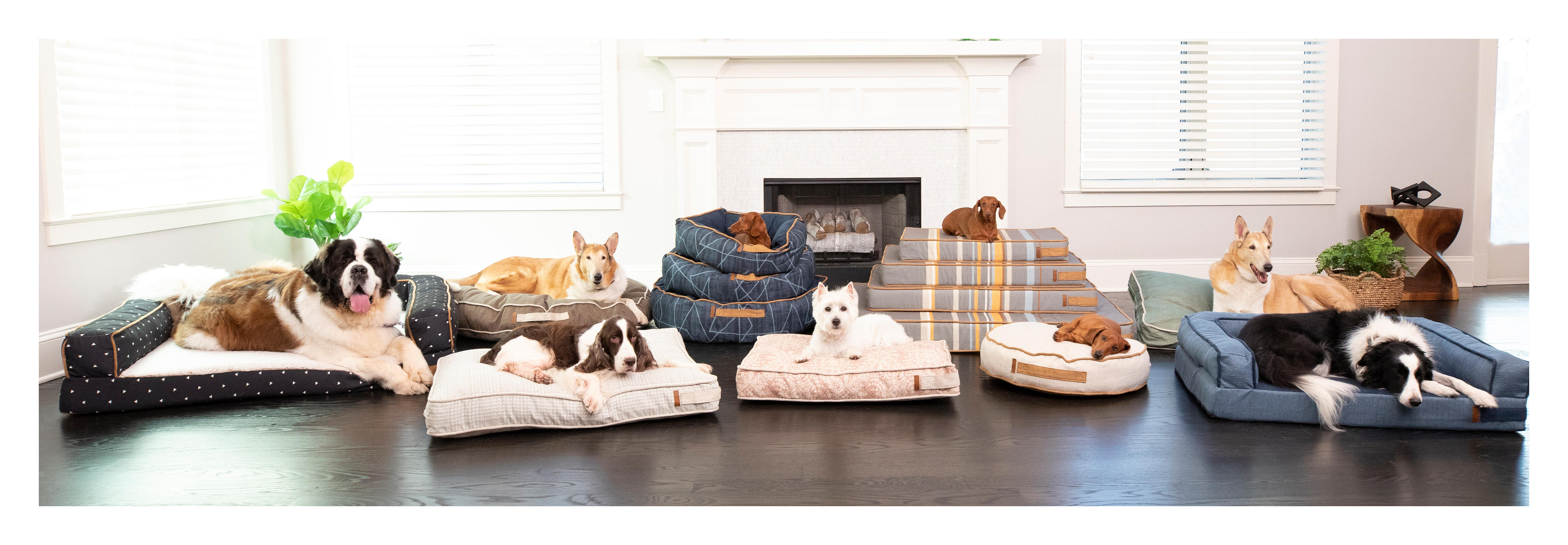 Amazon.com: bark & slumber pet beds