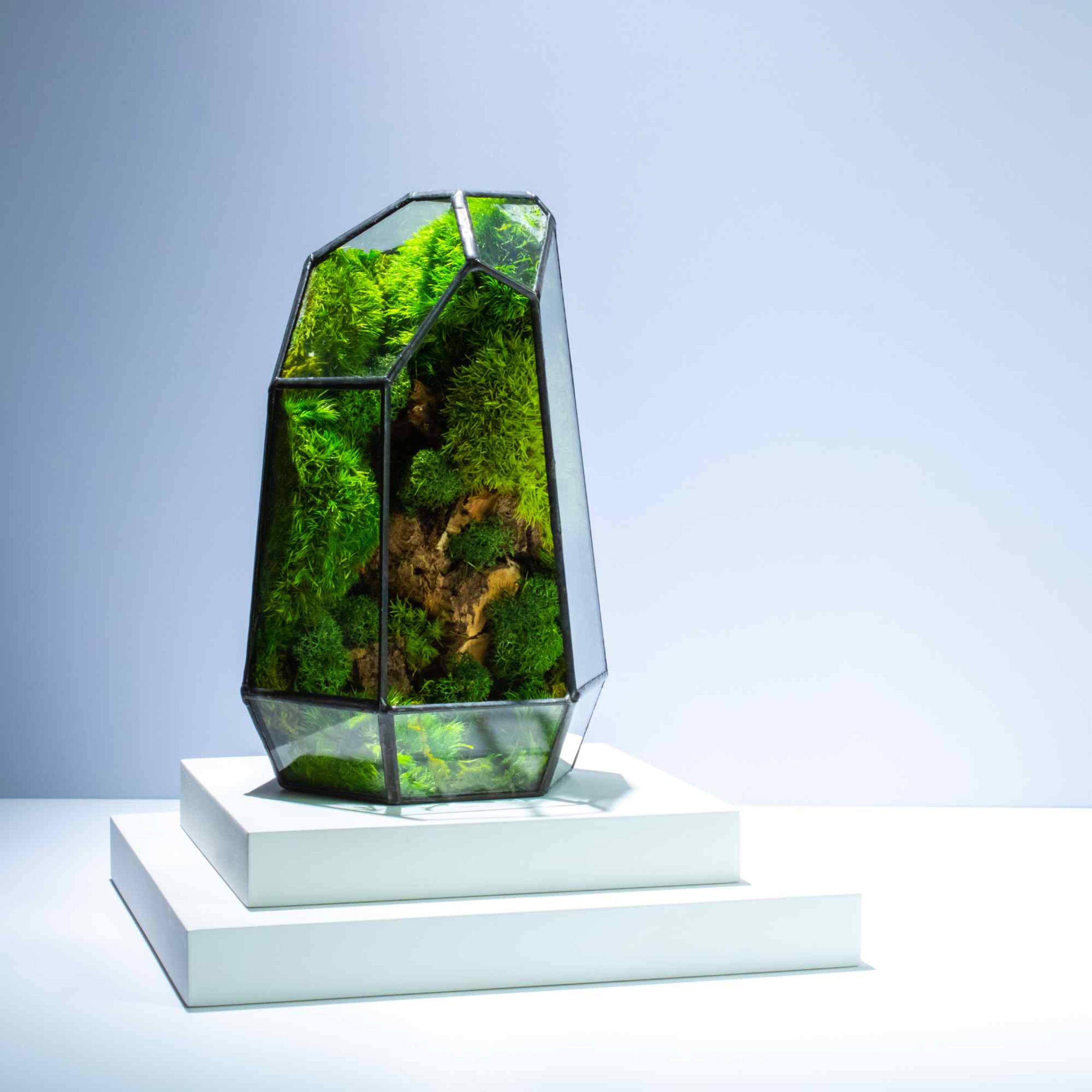 Buy Prism Geometric Terrarium | For Sale | ome