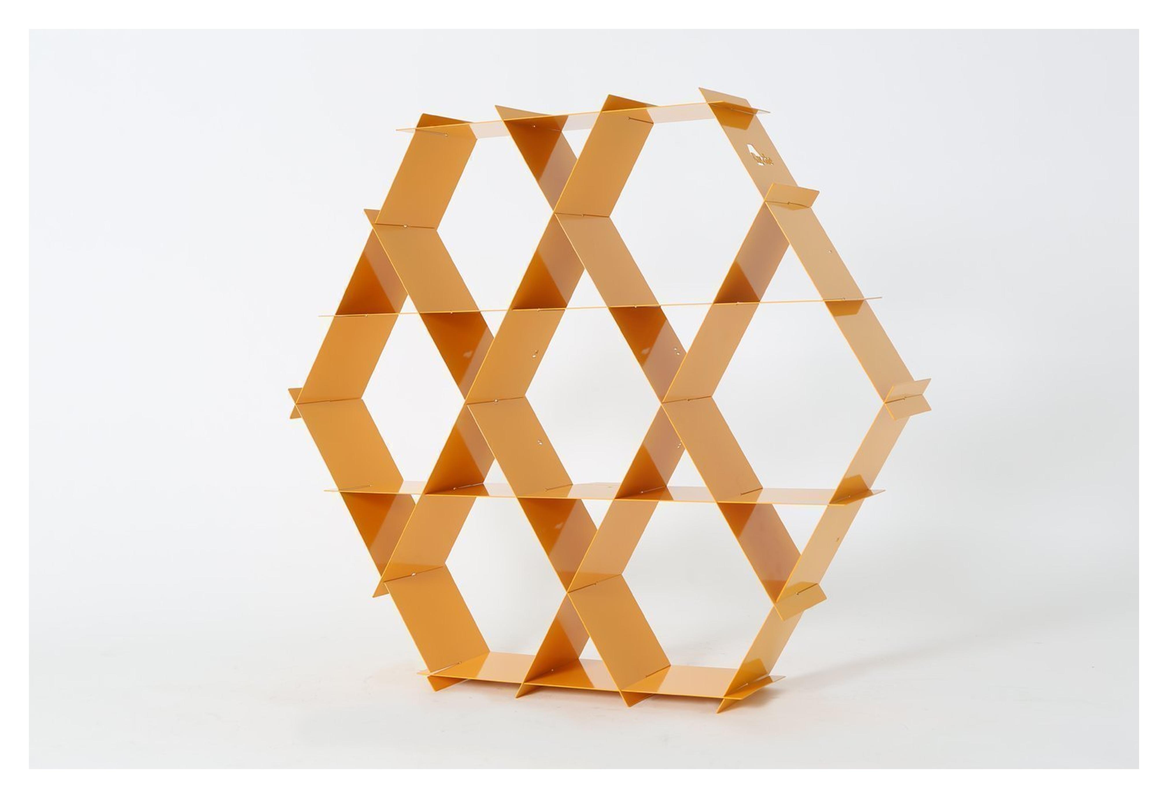 Ruche Geometric Shelving Unit