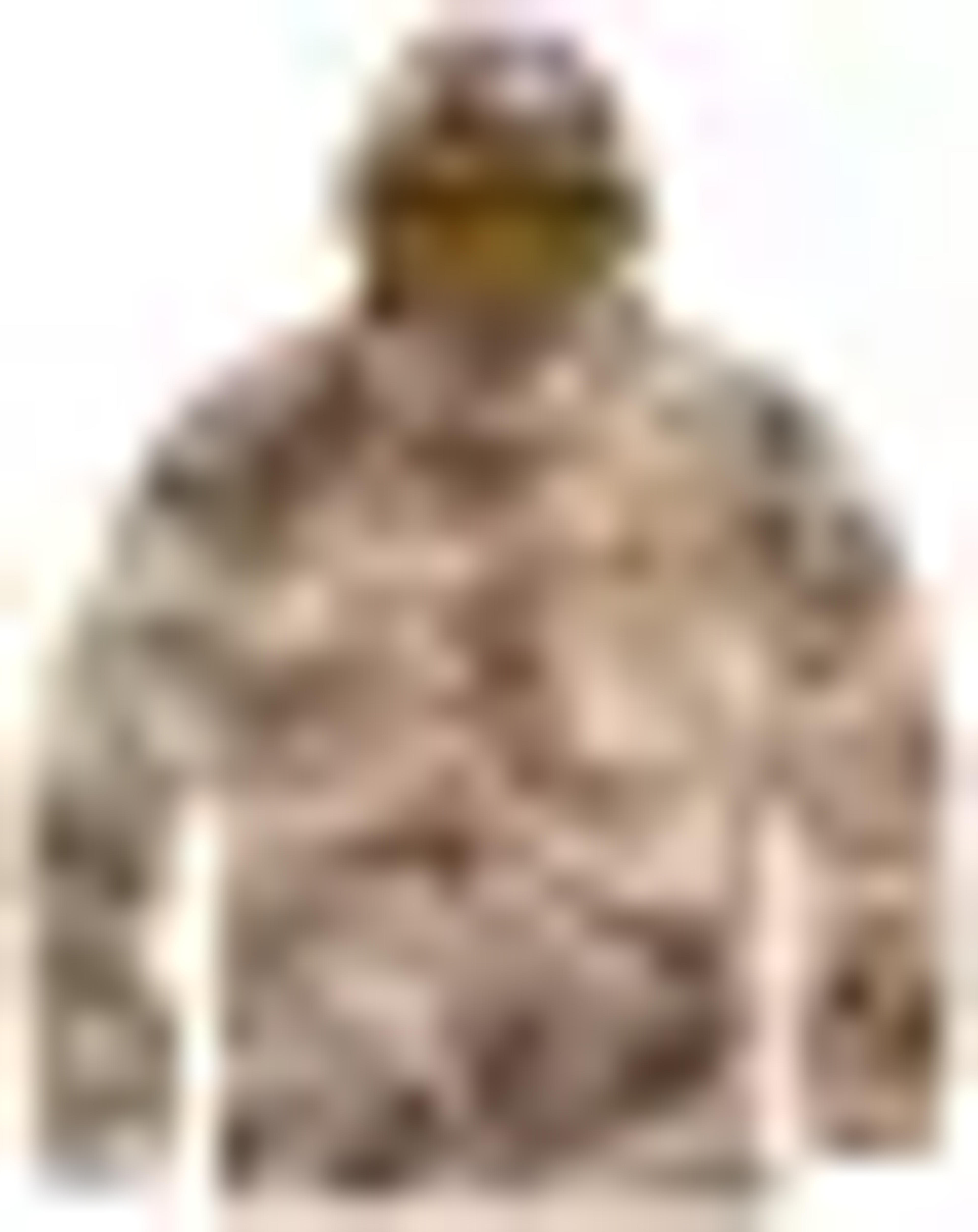 Browning Big Buckmark Long-Sleeve Hoodie for Men | Cabela's