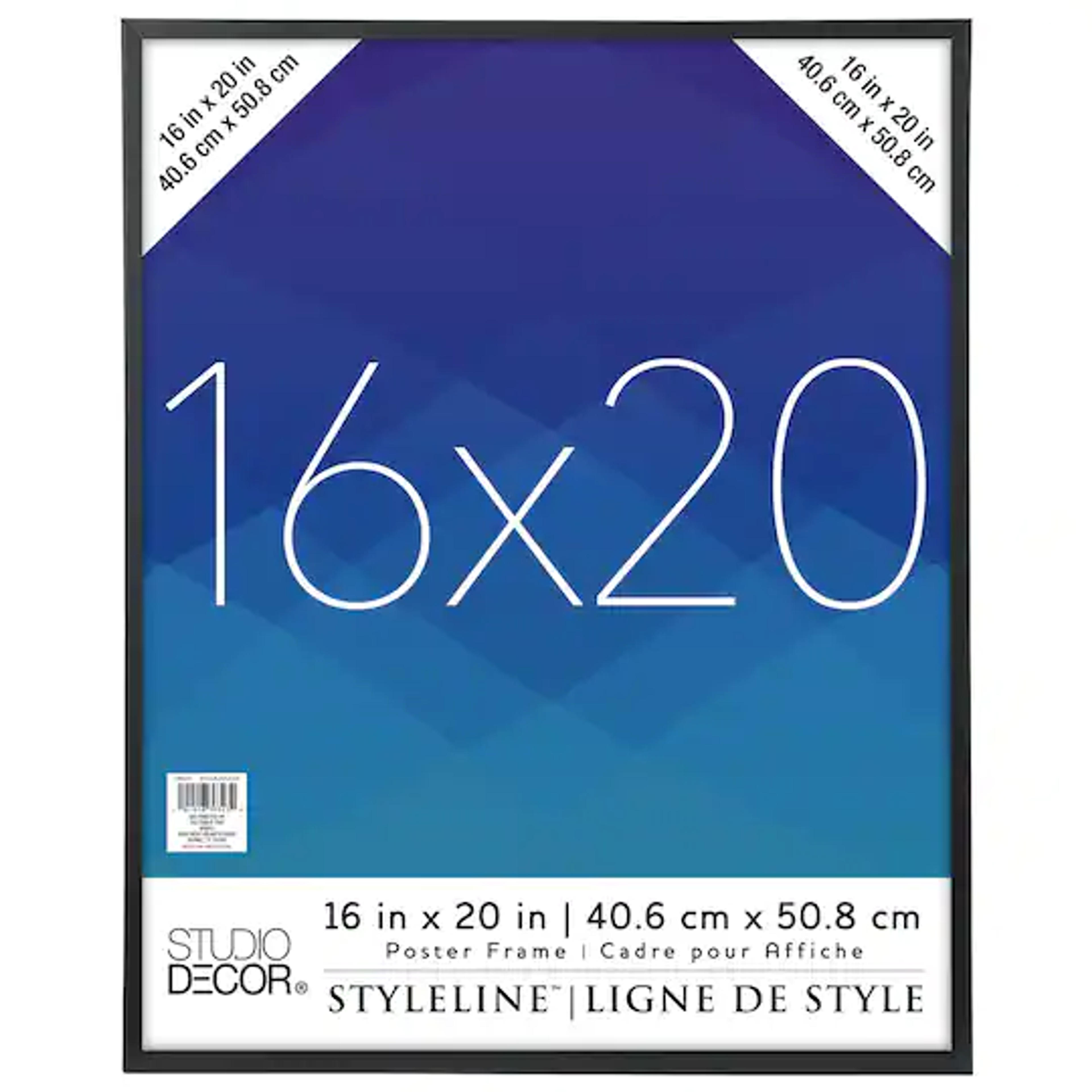 Styleline™ Poster Frame By Studio Décor®