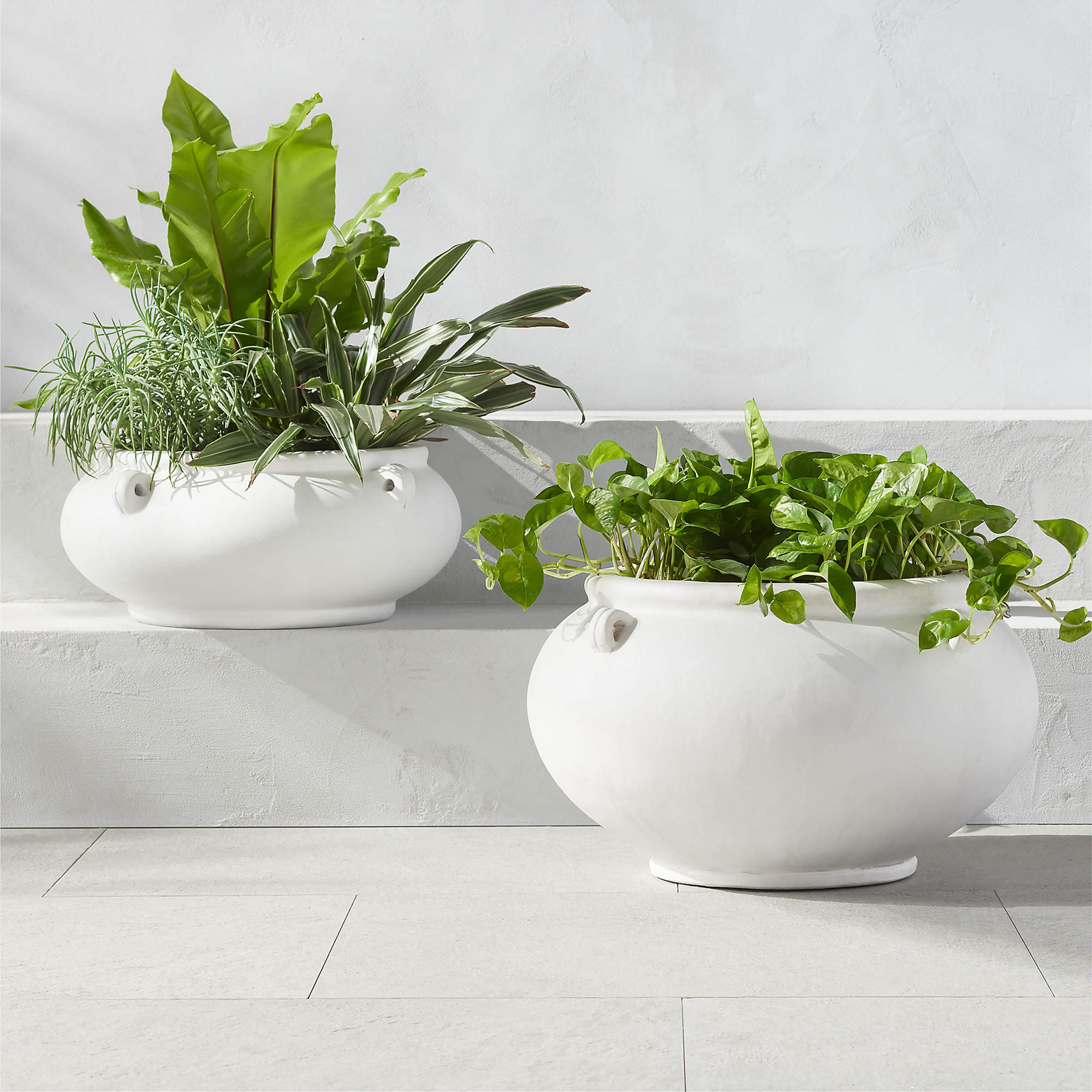 Myla White Terracotta Indoor/Outdoor Planter Bowl with Handles Large