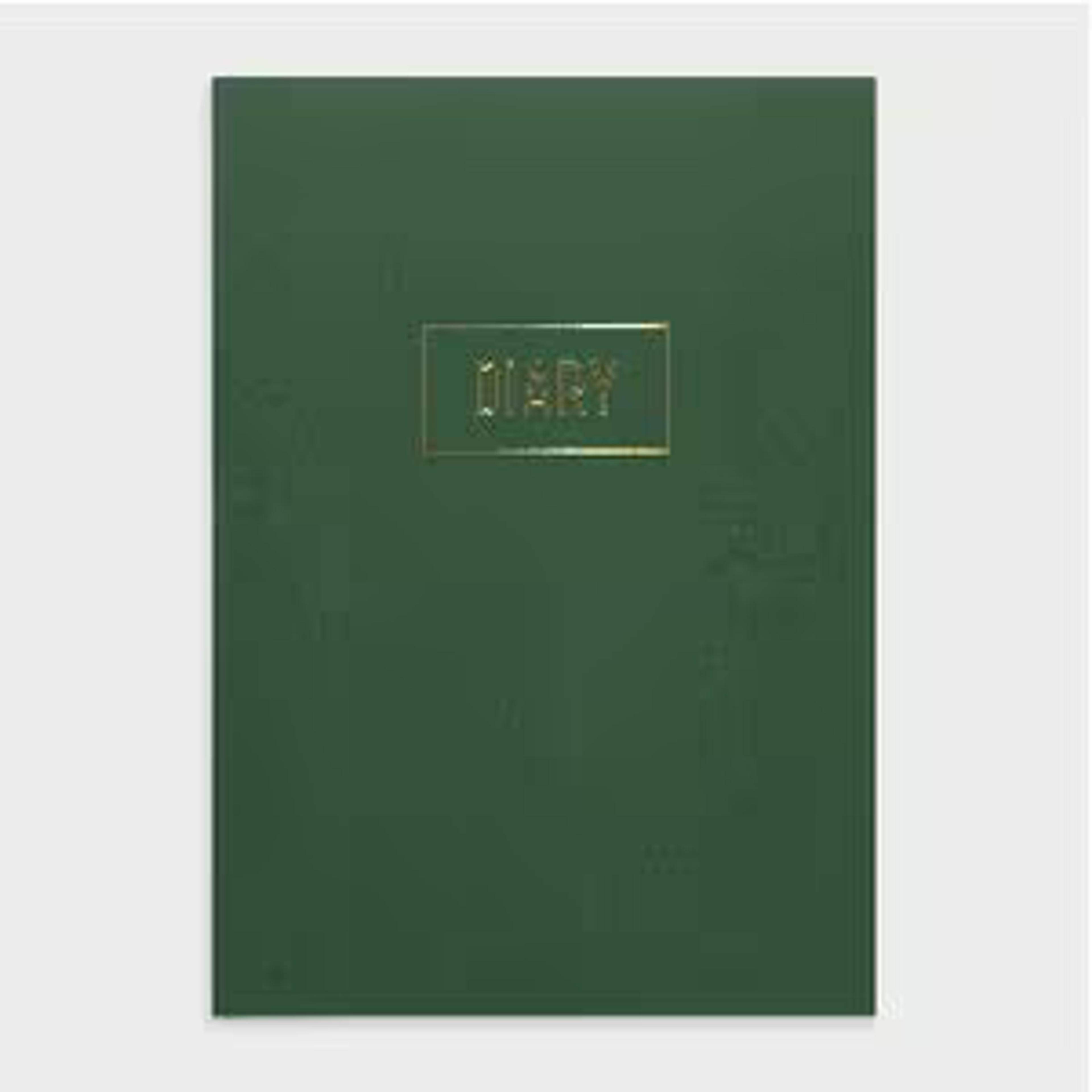 Otto A5 Day-to-Page Undated Diary Green