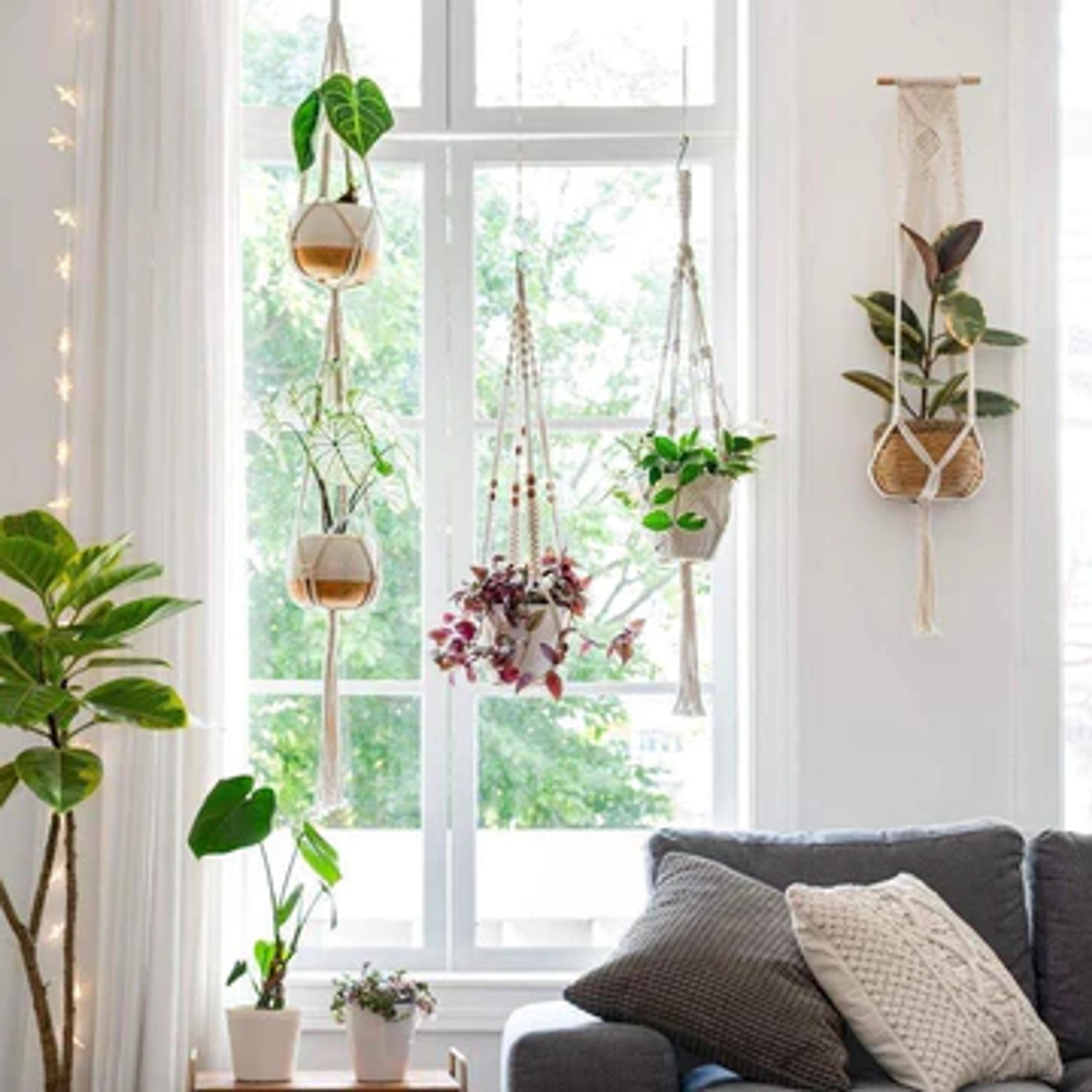 4-Piece Handmade Boho Macrame Plant Hanger Set – bloomlyn