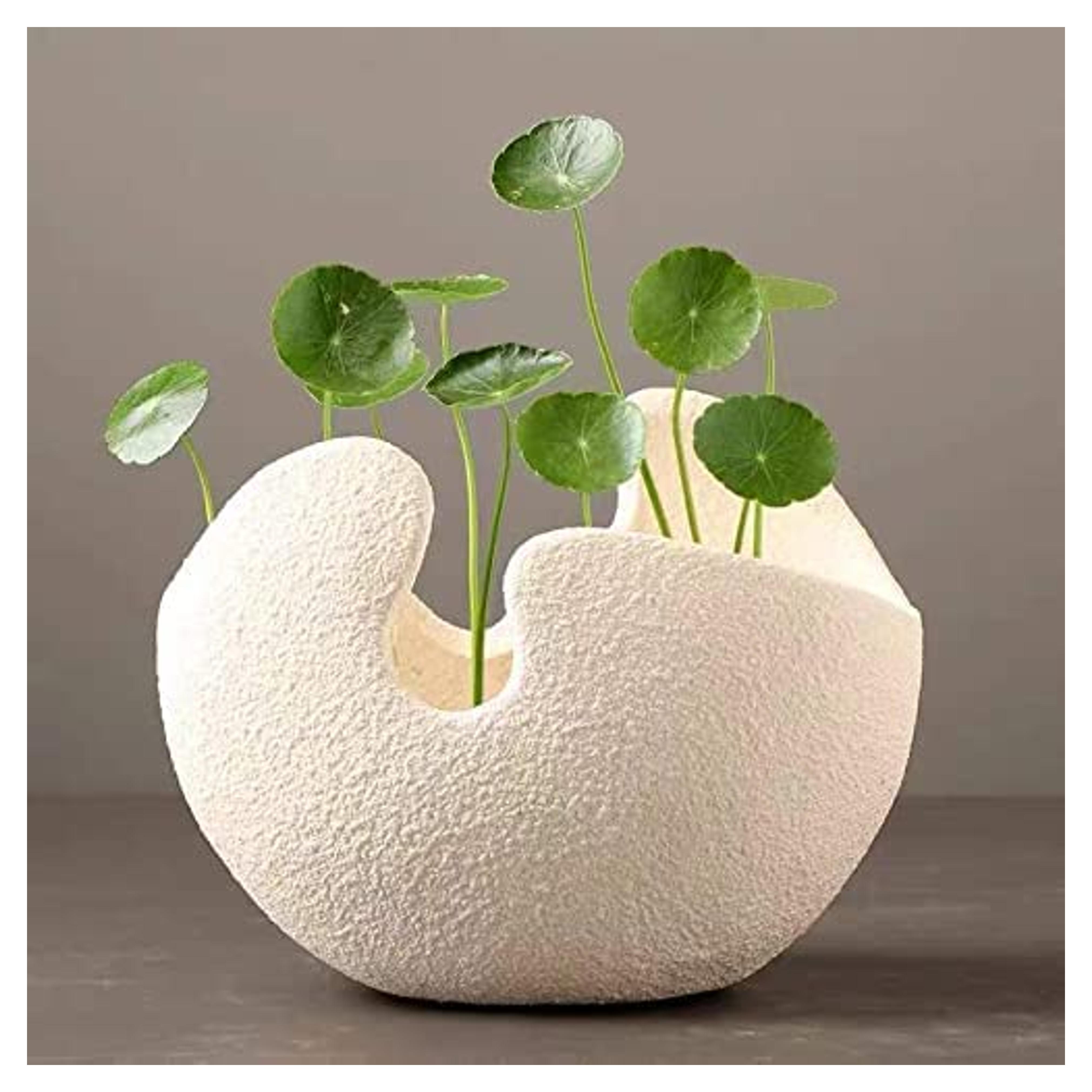 Amazon.com: Modern Decoration Vase Creative Eggshell Vase with Frosted Texture Suitable for Kitchen,Hotel,Office,Living Room/White (Small)… : Home & Kitchen