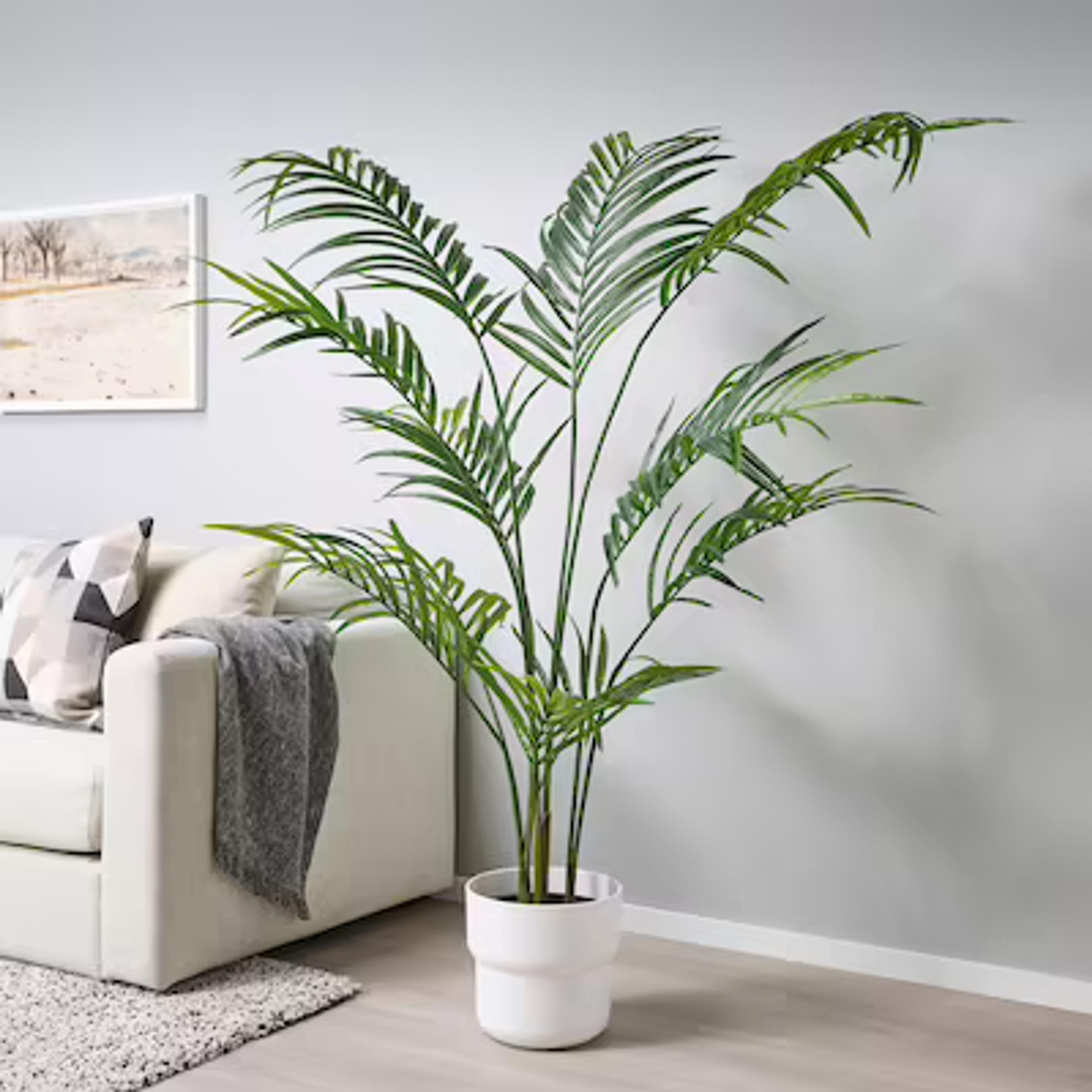FEJKA Artificial potted plant, indoor/outdoor Kentia palm, 9" - IKEA