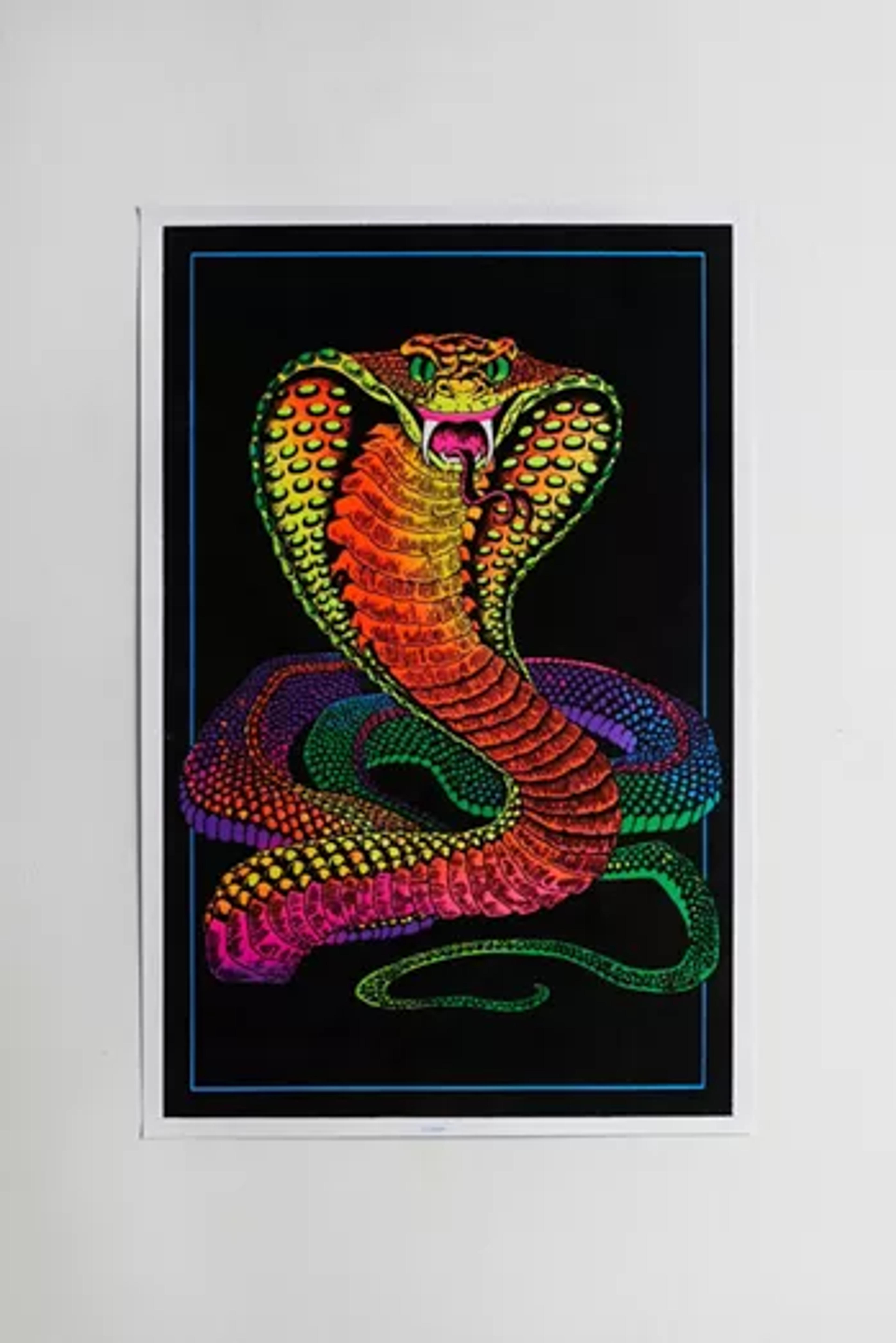 Cobra Blacklight Poster | Urban Outfitters Canada