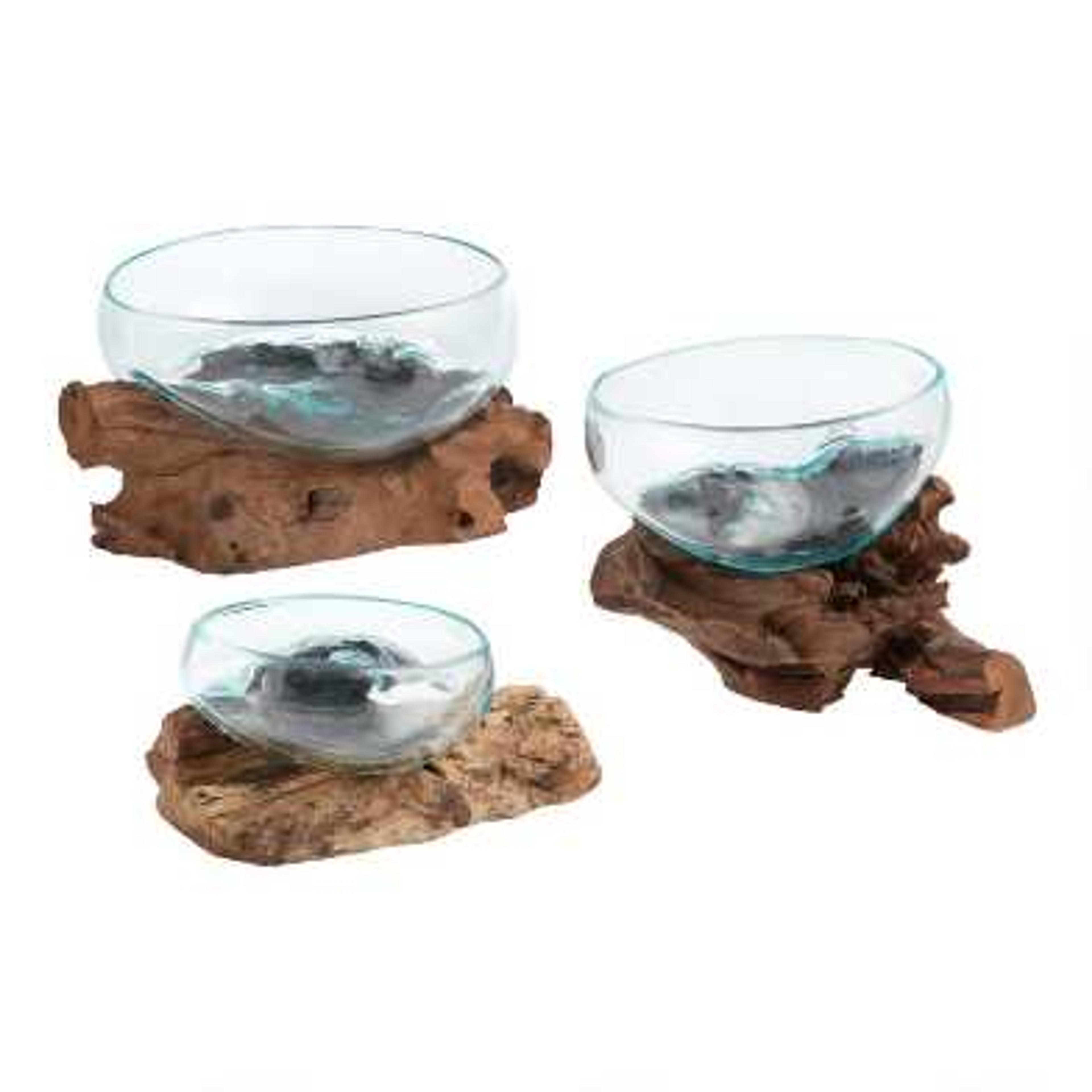 Natural Driftwood And Blown Glass Bowl | World Market