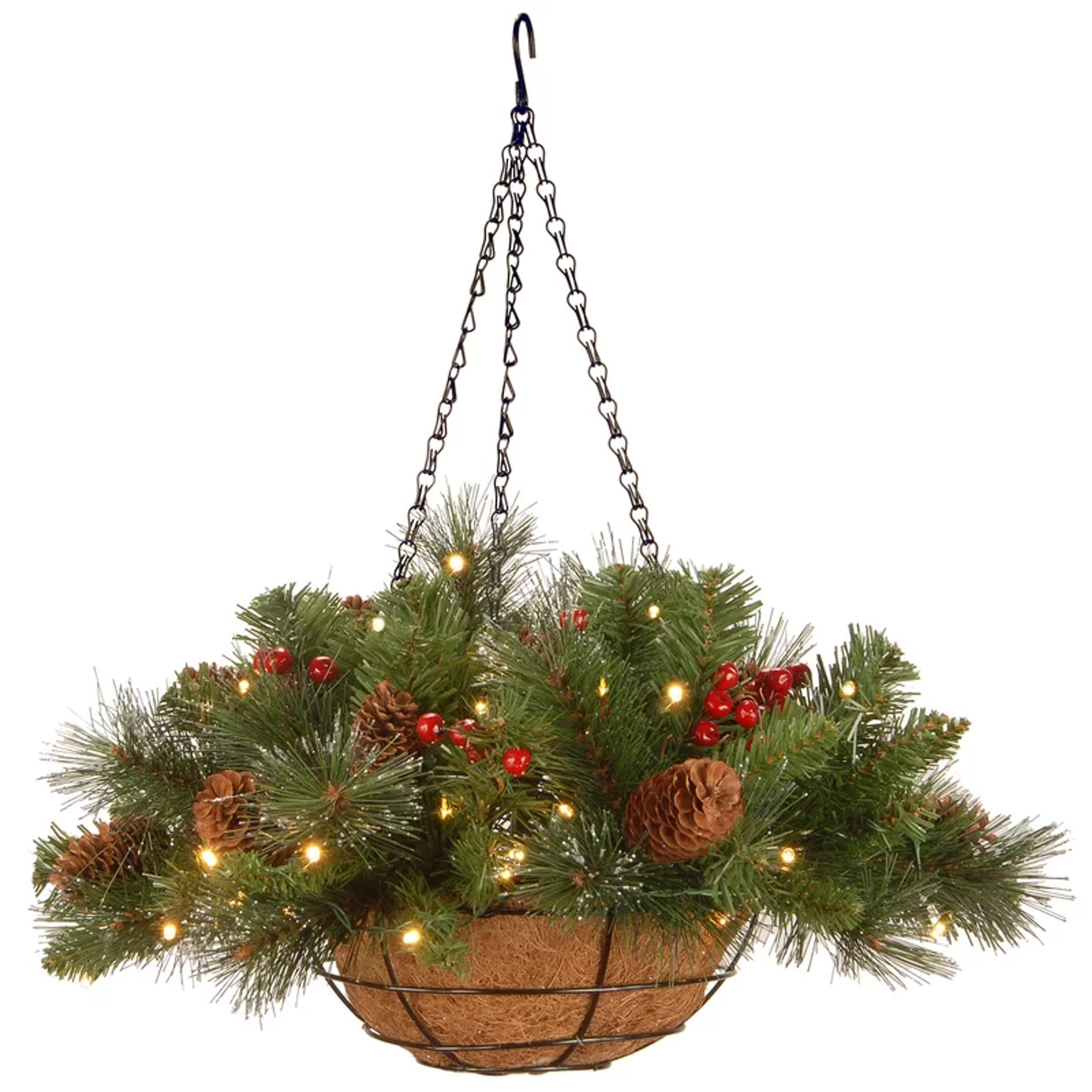 Three Posts™ Losoya Spruce Hanging Basket & Reviews | Wayfair