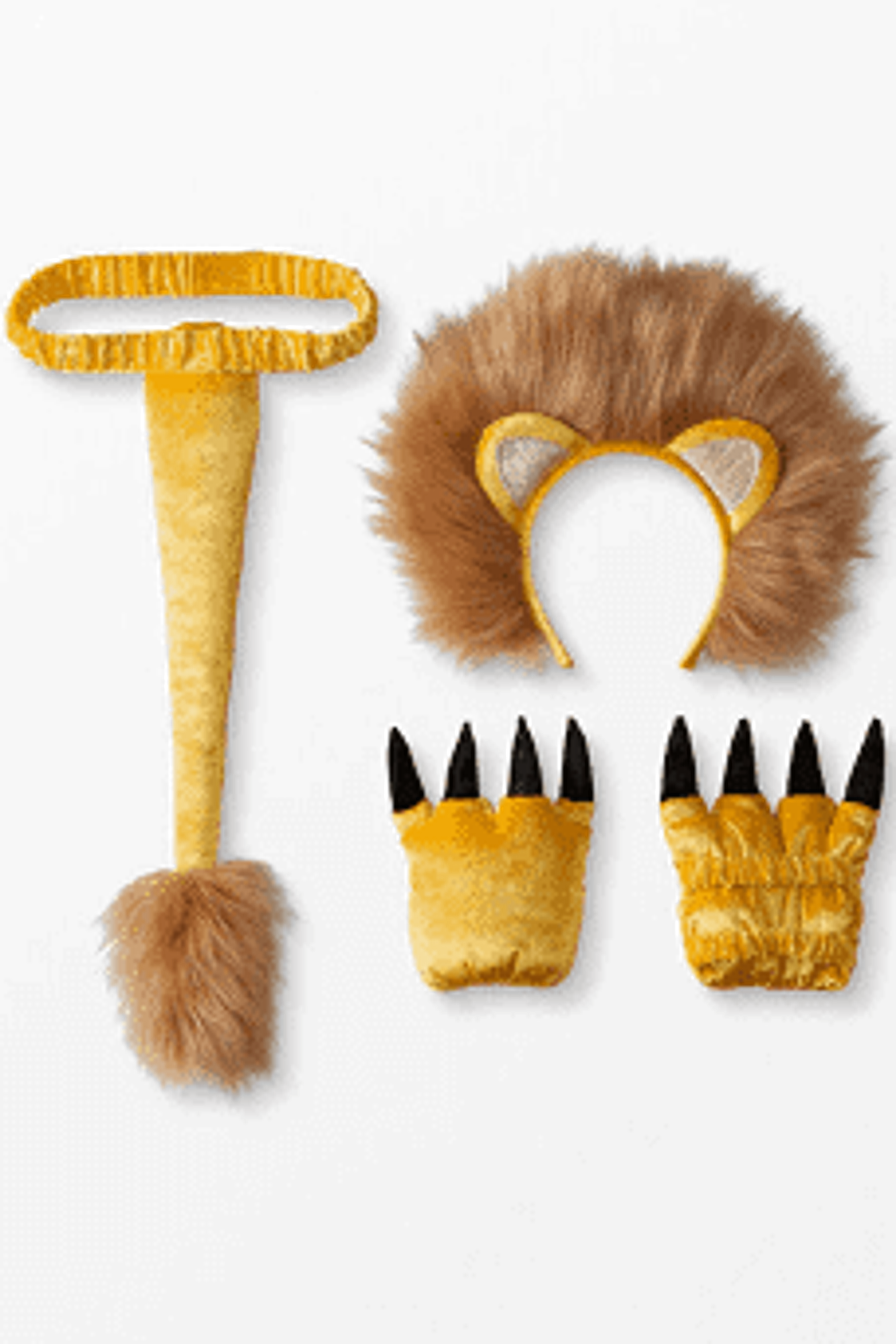 Lion Costume Set