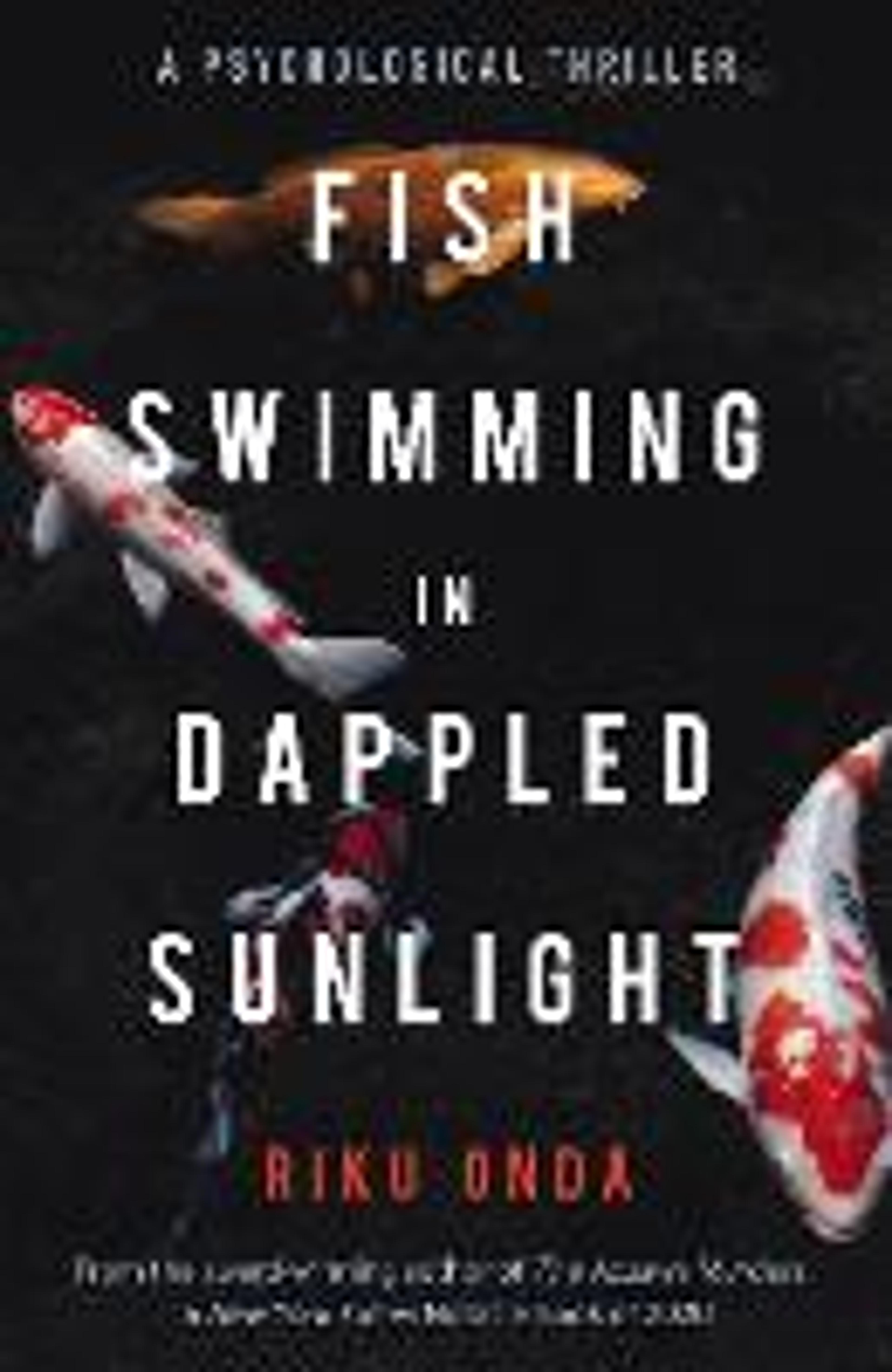 Fish Swimming in Dappled Sunlight by Riku Onda | Waterstones