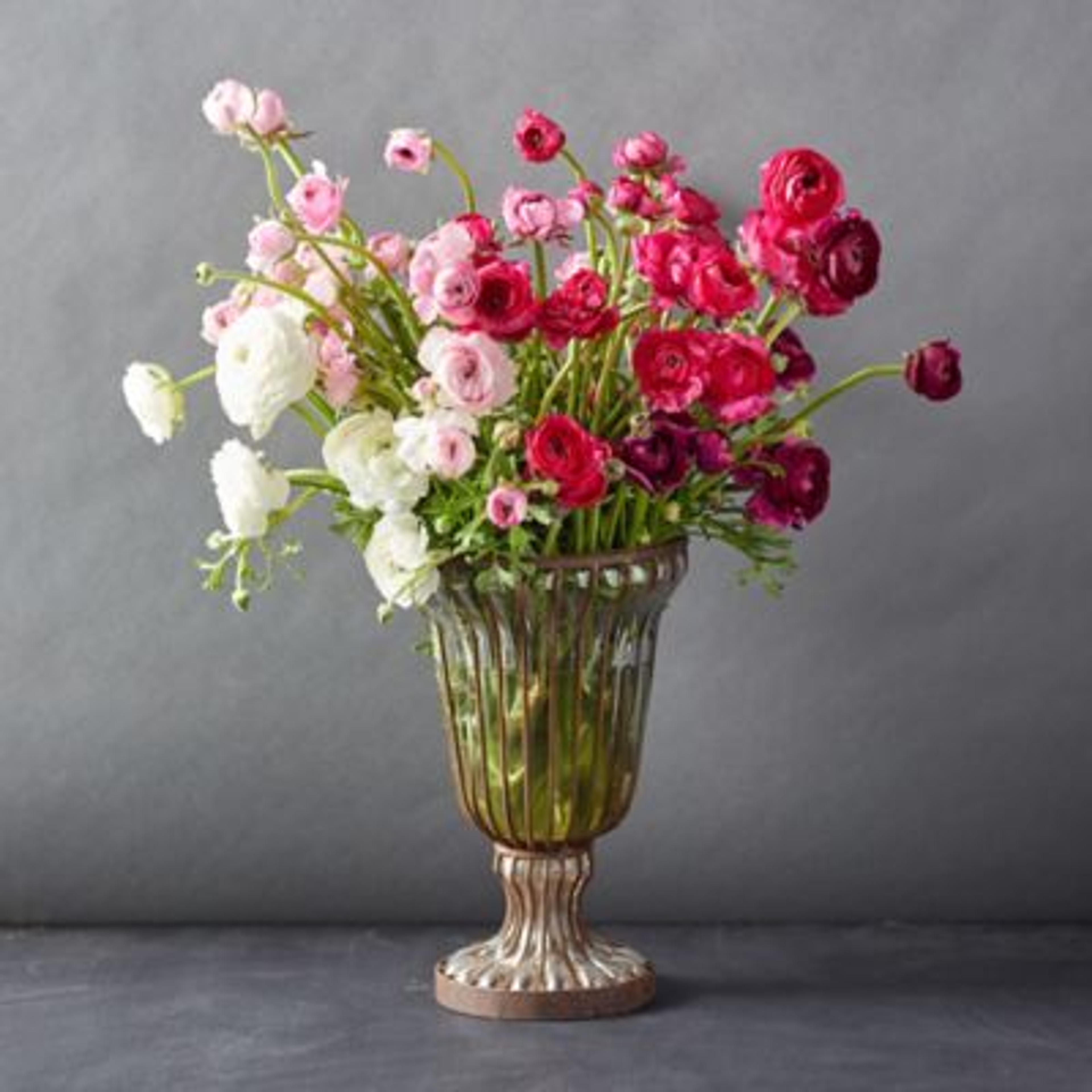 Fresh White + Pink Ranunculus Bunch - Terrain