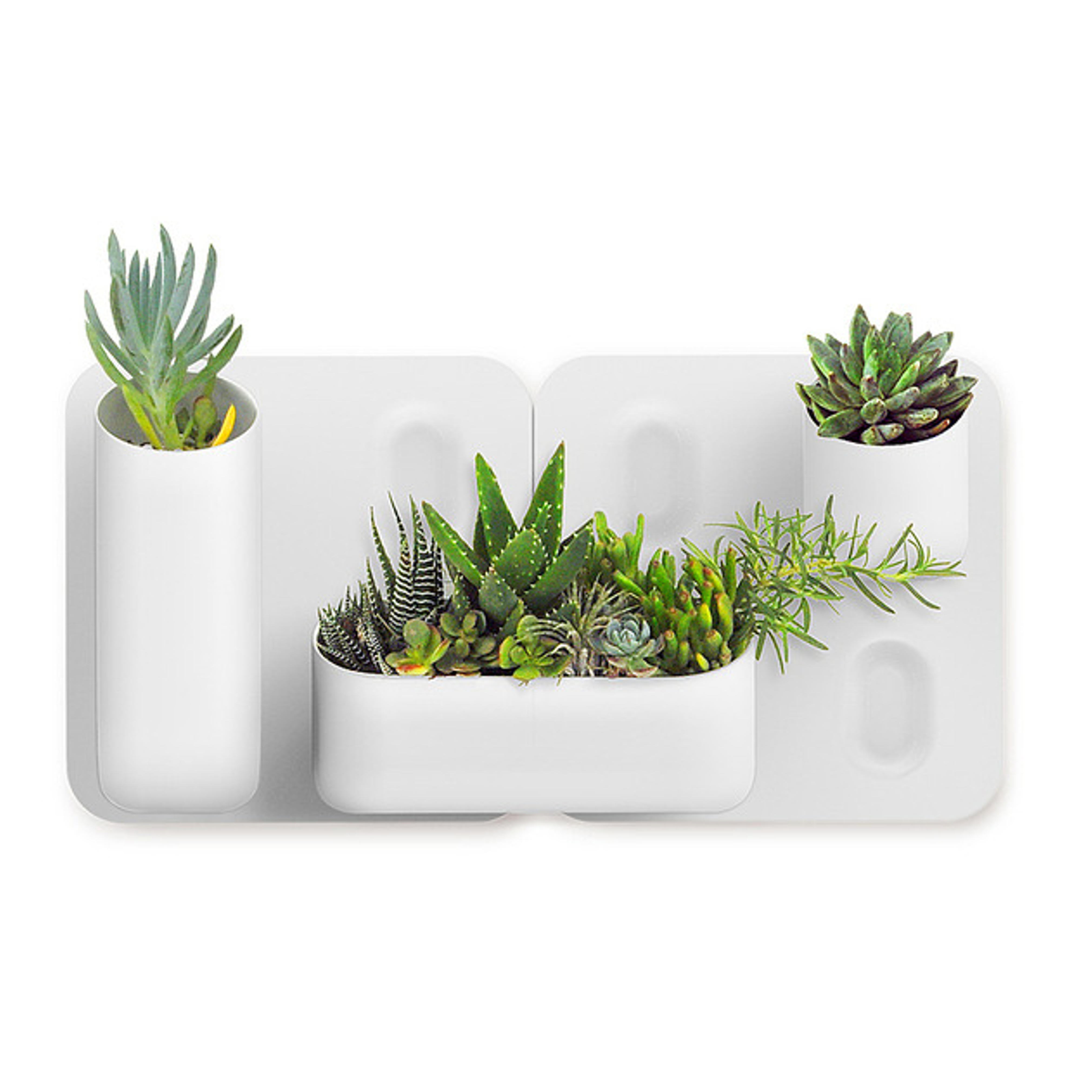 Urbio Happy Family Wall Planters