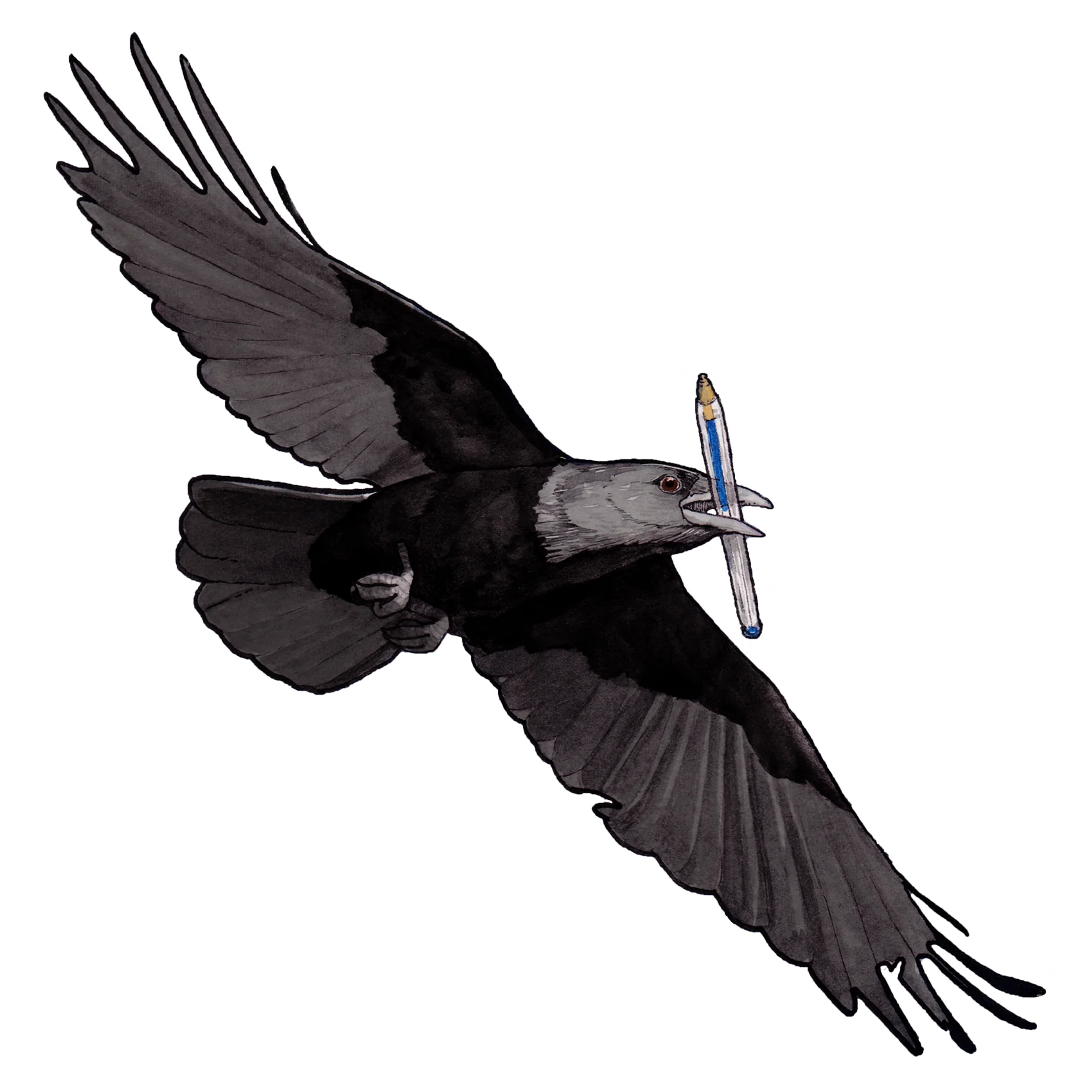 Crow With Pen Sticker – False Knees Store